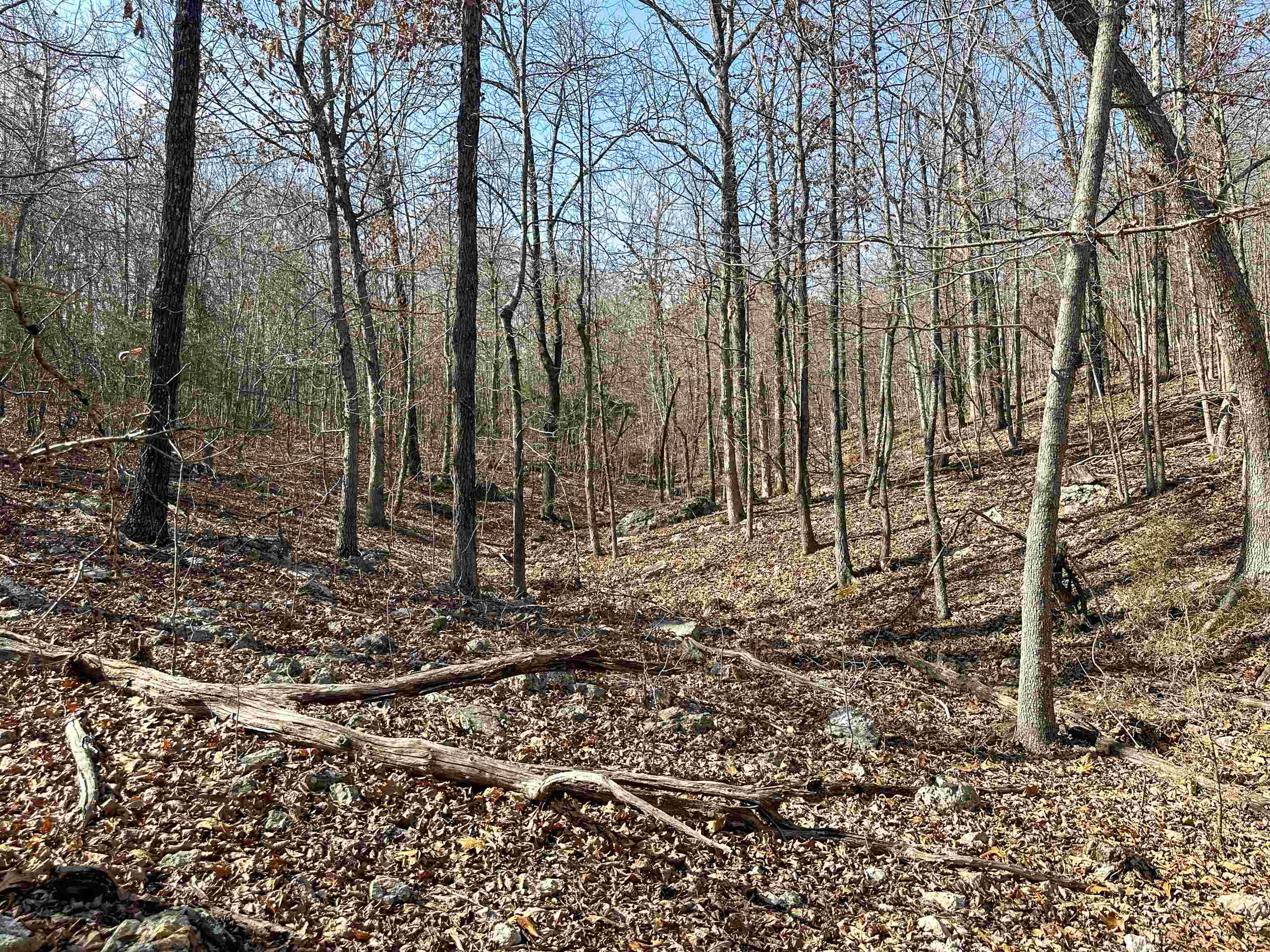 Photo 31 - Vacant Land for sale – XX N Summit Ridge   Williford, AR