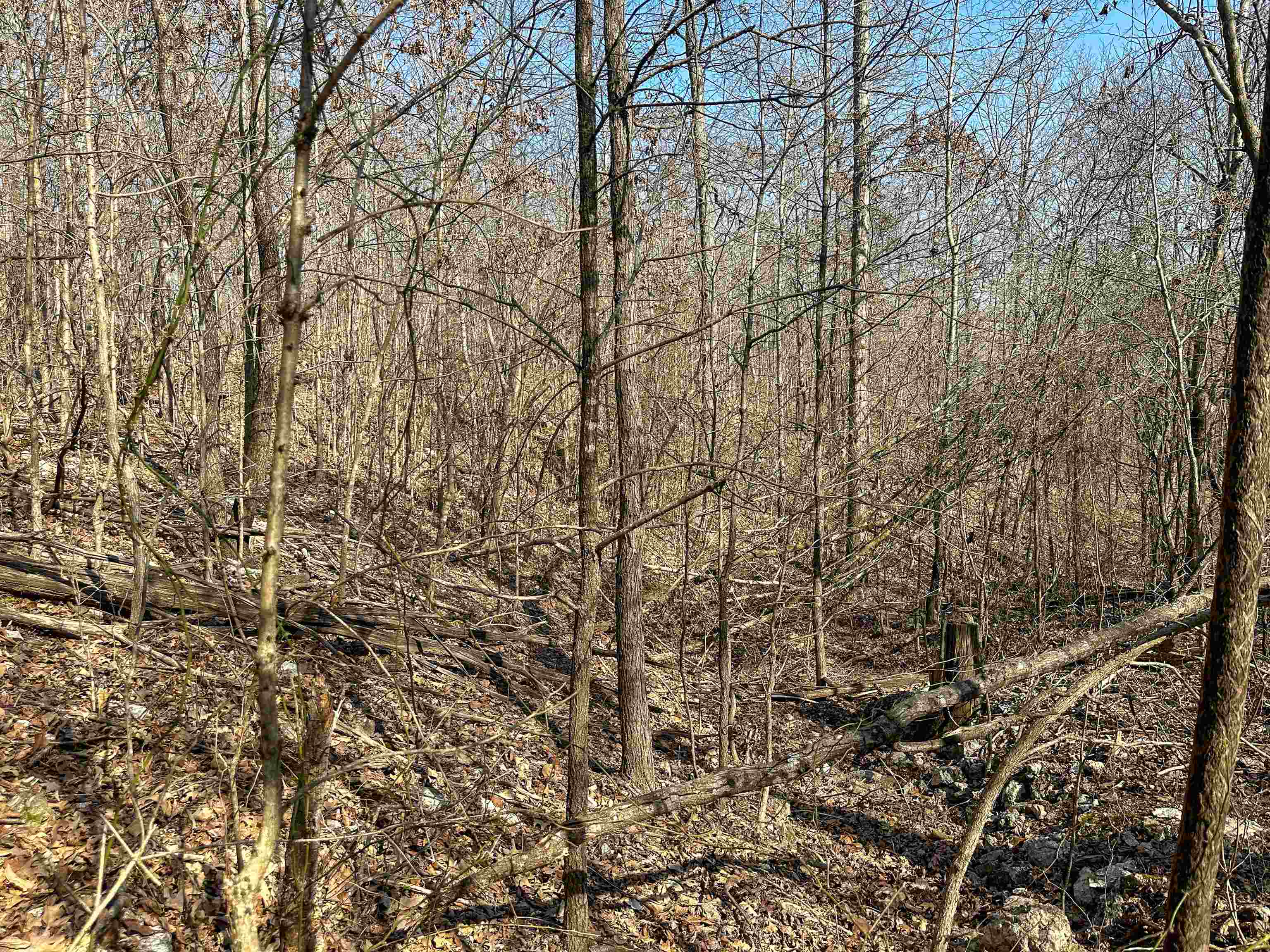 Photo 33 - Vacant Land for sale – XX N Summit Ridge   Williford, AR