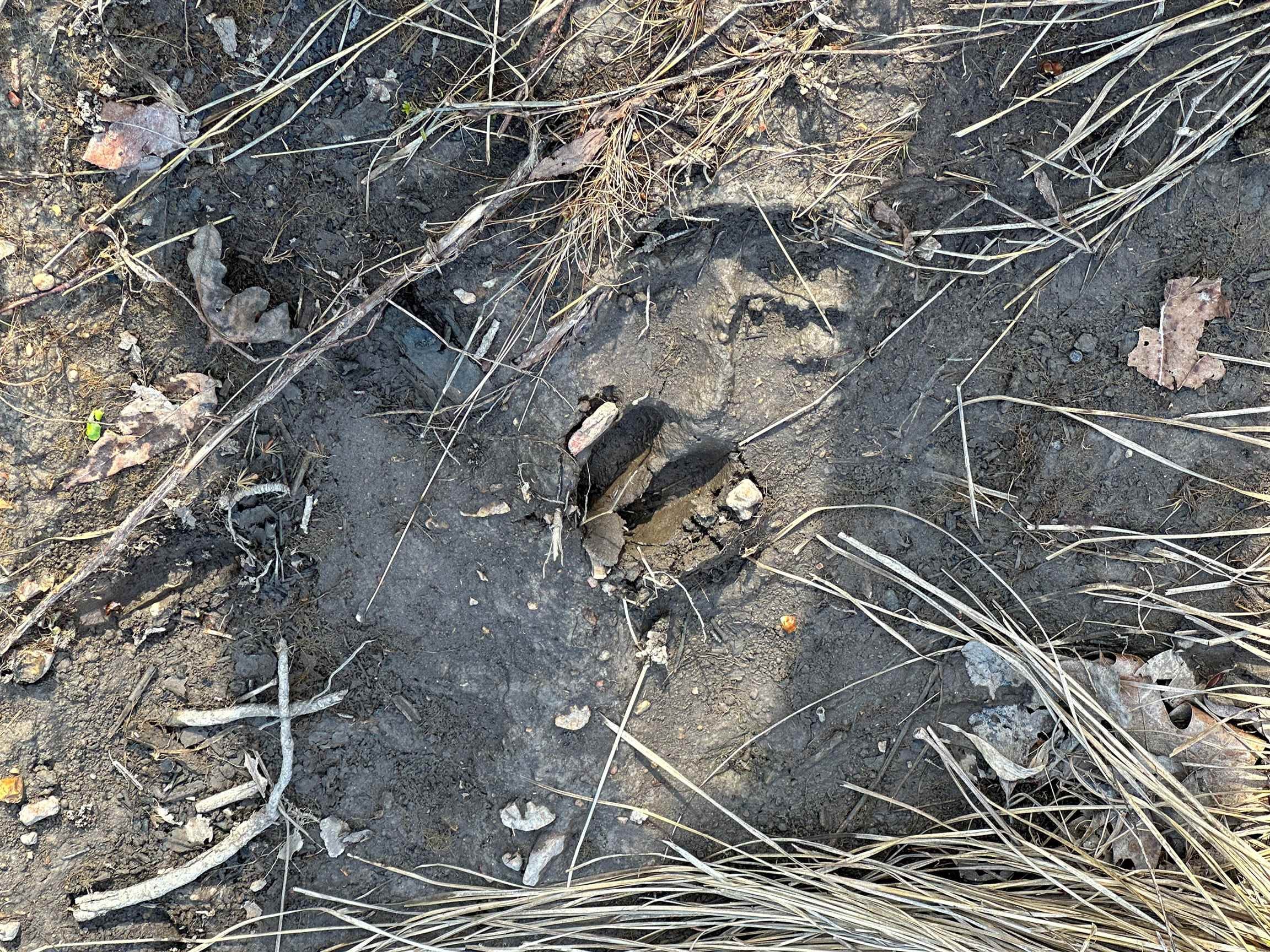 Photo 35 - Vacant Land for sale – XX N Summit Ridge   Williford, AR