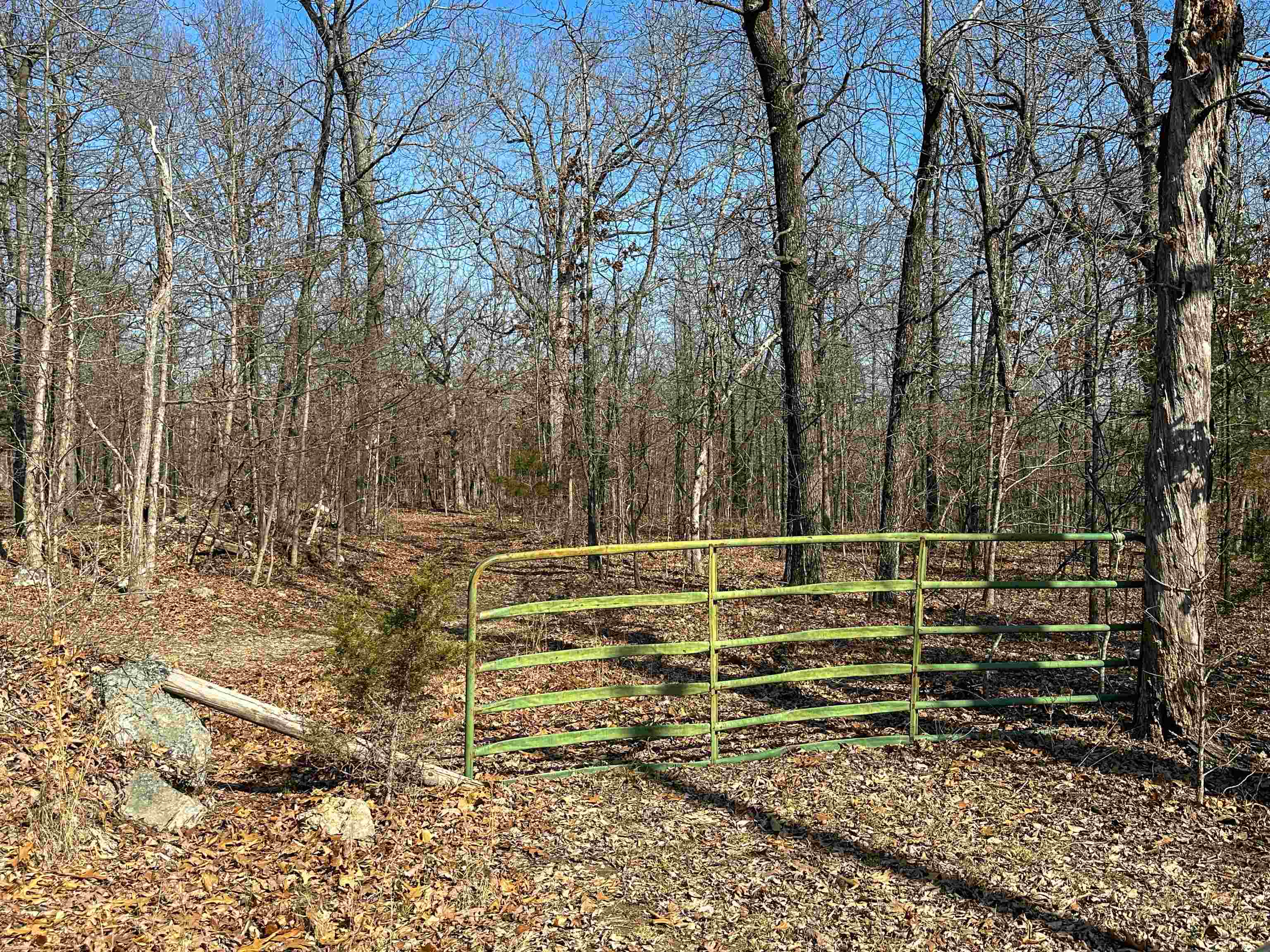 Photo 6 - Vacant Land for sale – XX N Summit Ridge   Williford, AR