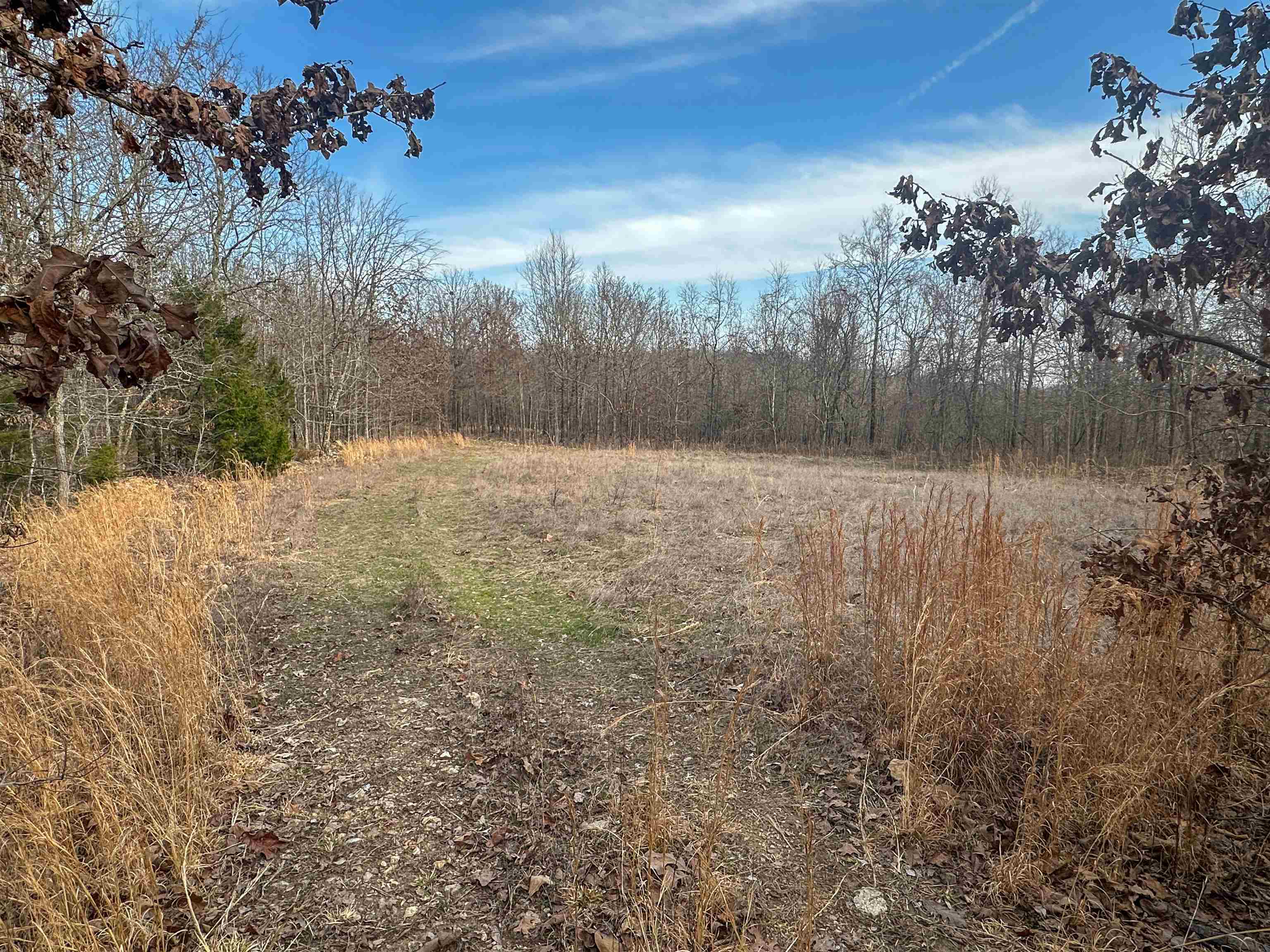 Photo 7 - Vacant Land for sale – XX N Summit Ridge   Williford, AR