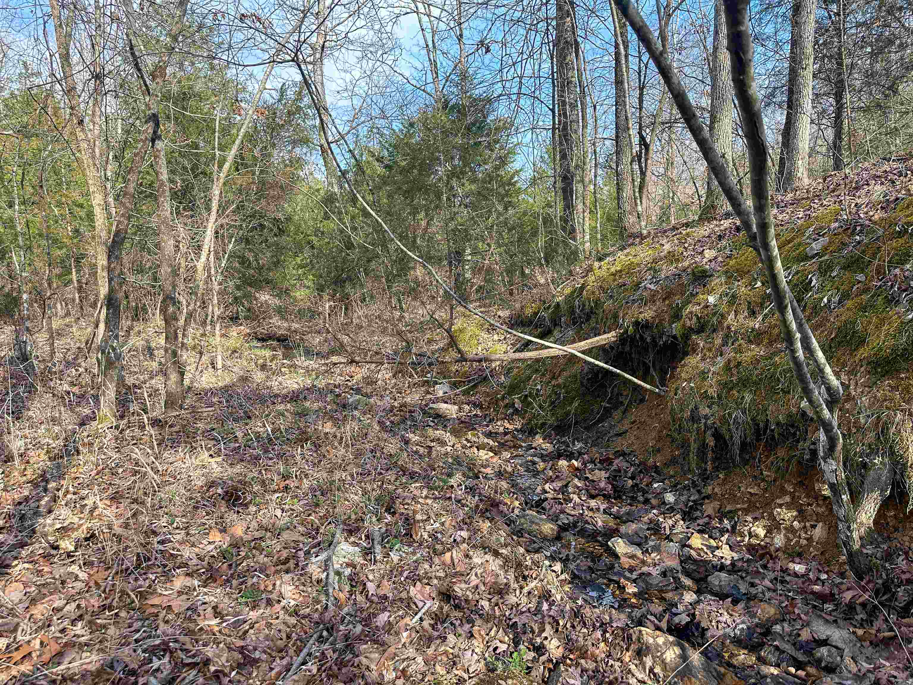 Photo 8 - Vacant Land for sale – XX N Summit Ridge   Williford, AR