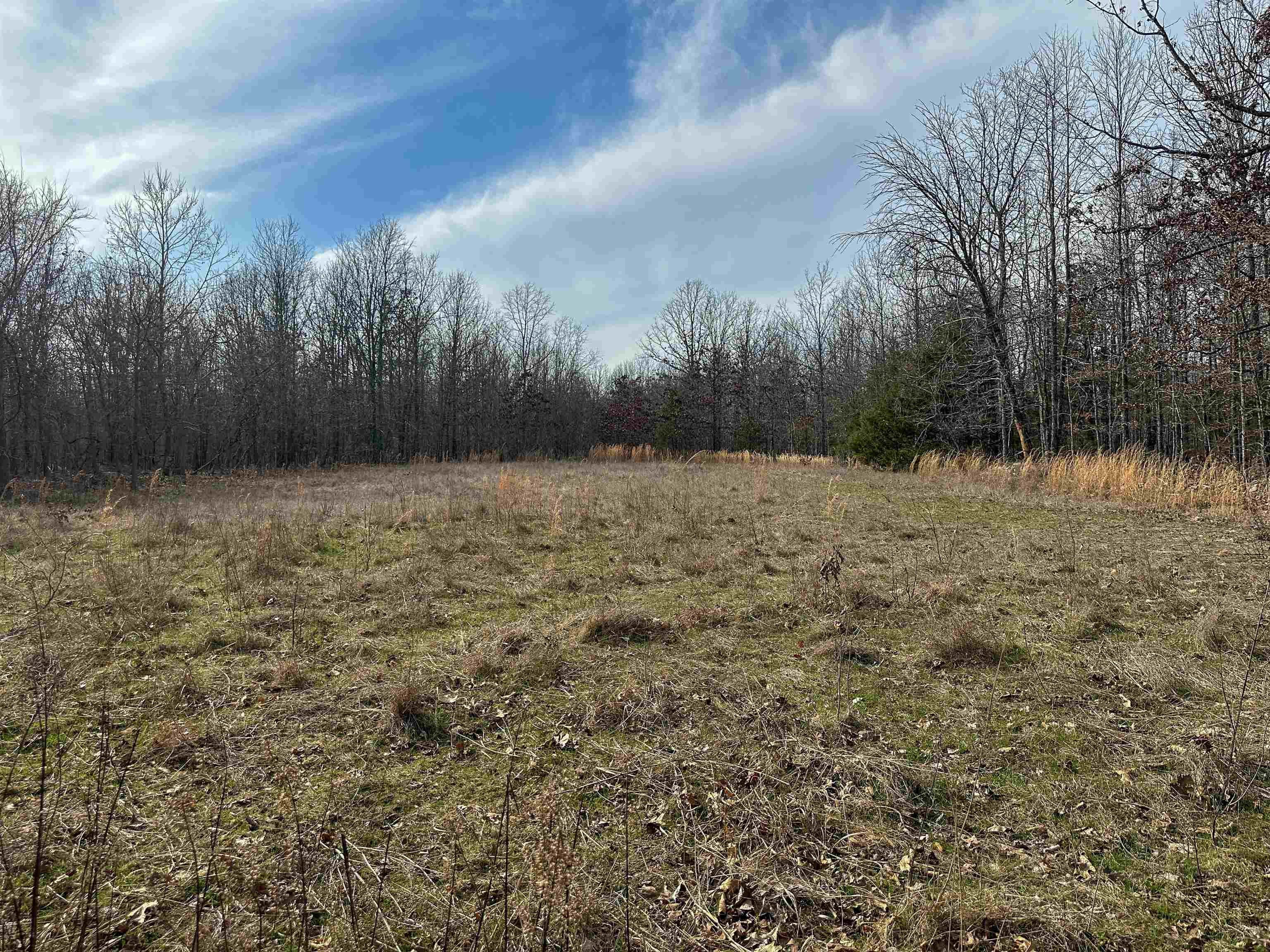 Photo 9 - Vacant Land for sale – XX N Summit Ridge   Williford, AR