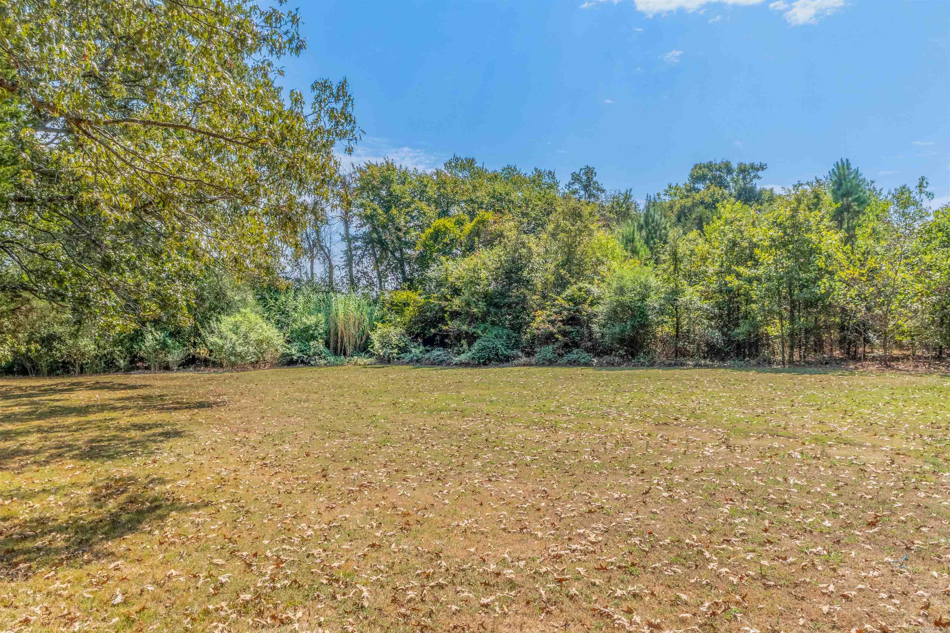 Photo 31 - Residential for sale – 179  Wilf   Pleasant Plains, AR