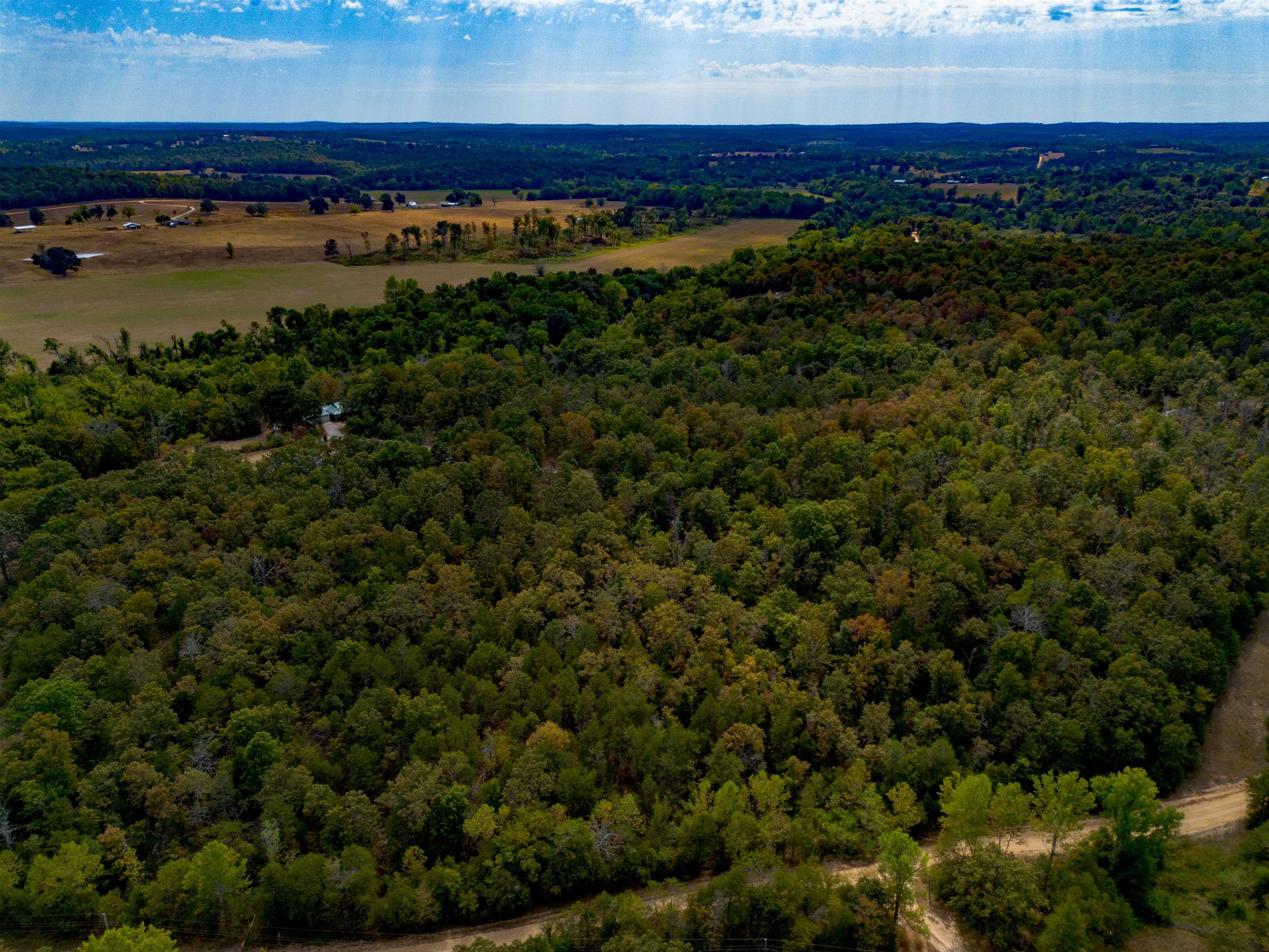 Photo 13 - Residential for sale – 1100  River Hill Rd   Glencoe, AR