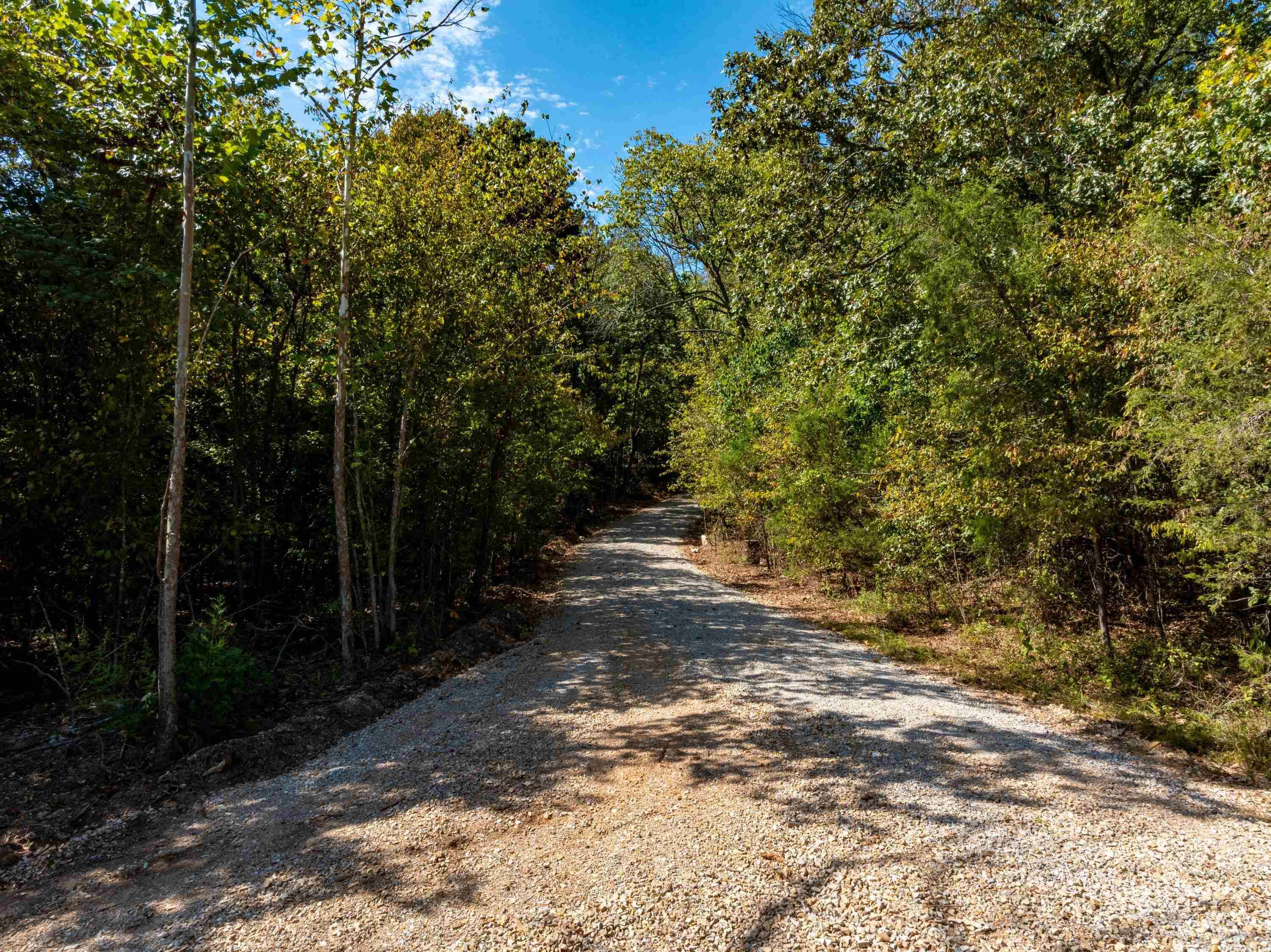 Photo 3 - Vacant Land for sale – 0  Stanfield Road   Smithville, AR