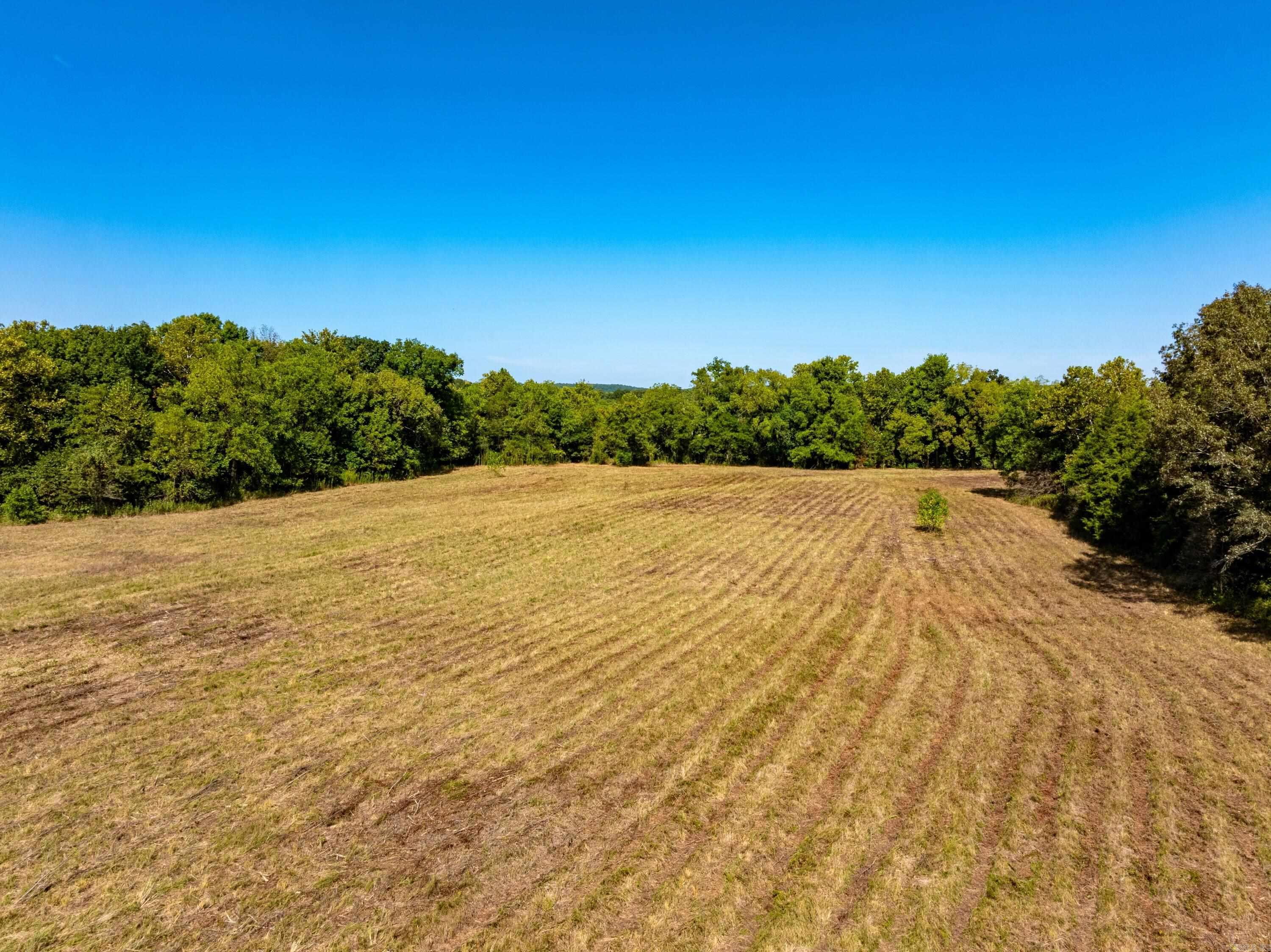 Photo 6 - Vacant Land for sale – 0  Stanfield Road   Smithville, AR