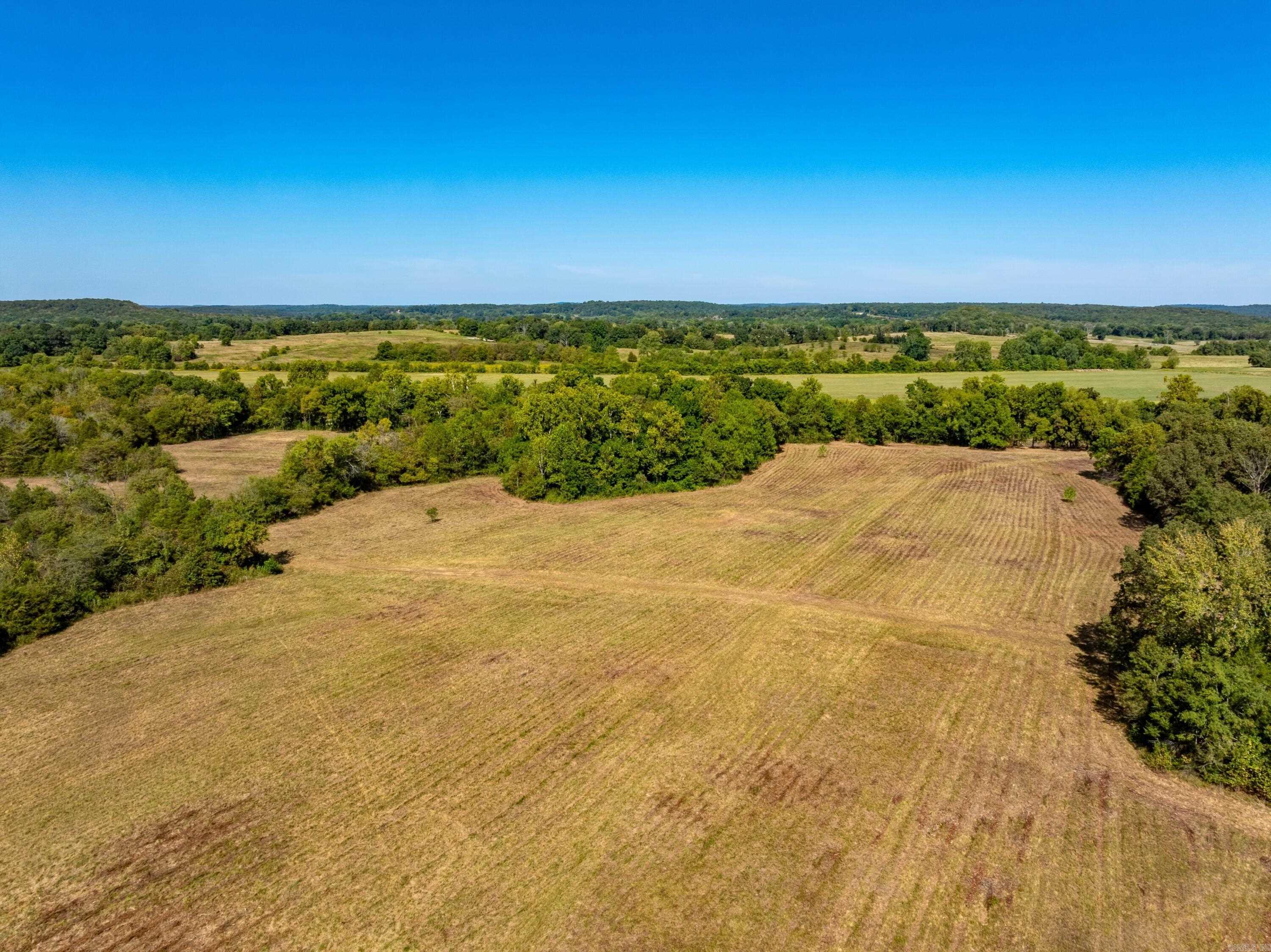 Photo 7 - Vacant Land for sale – 0  Stanfield Road   Smithville, AR
