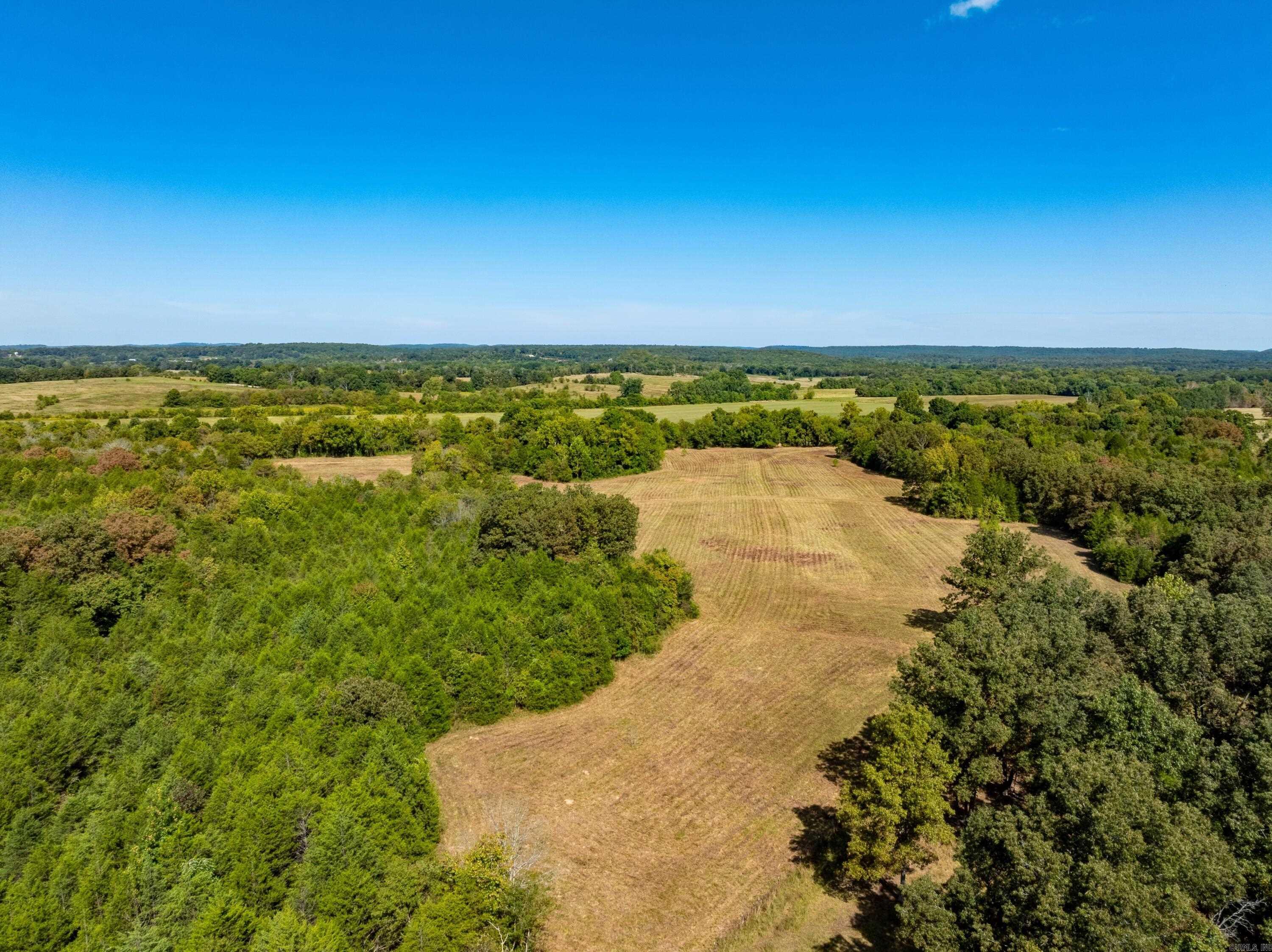Photo 8 - Vacant Land for sale – 0  Stanfield Road   Smithville, AR