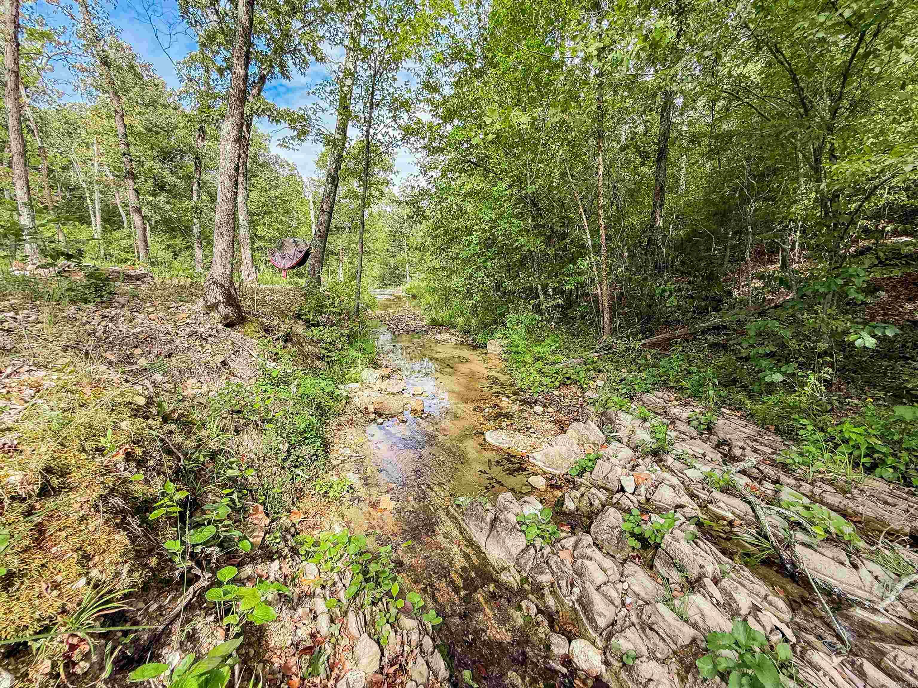 Photo 11 - Vacant Land for sale – TBD  Highway 163   Hardy, AR