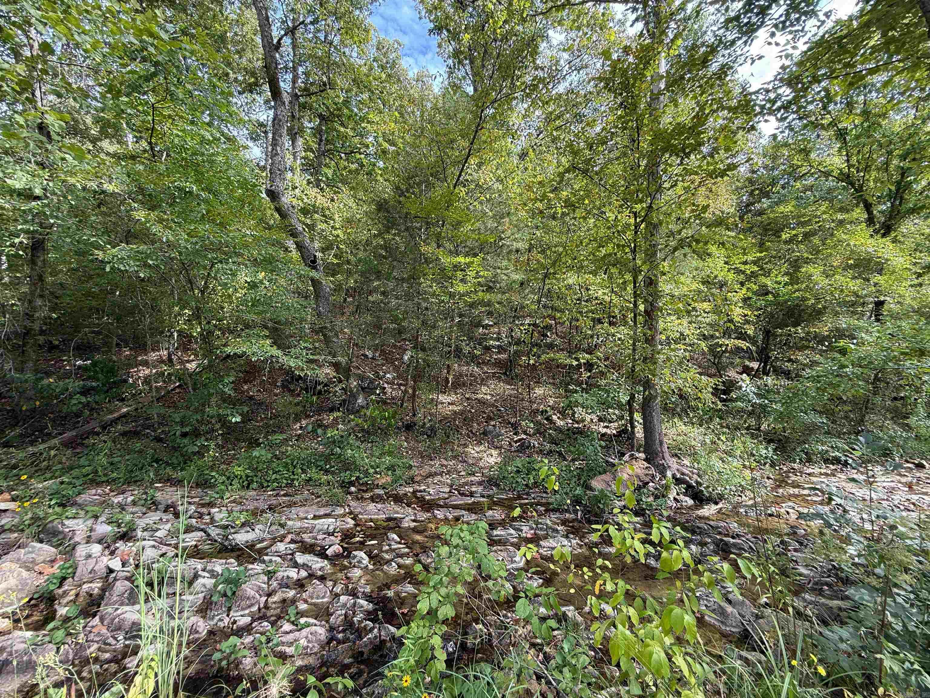 Photo 12 - Vacant Land for sale – TBD  Highway 163   Hardy, AR