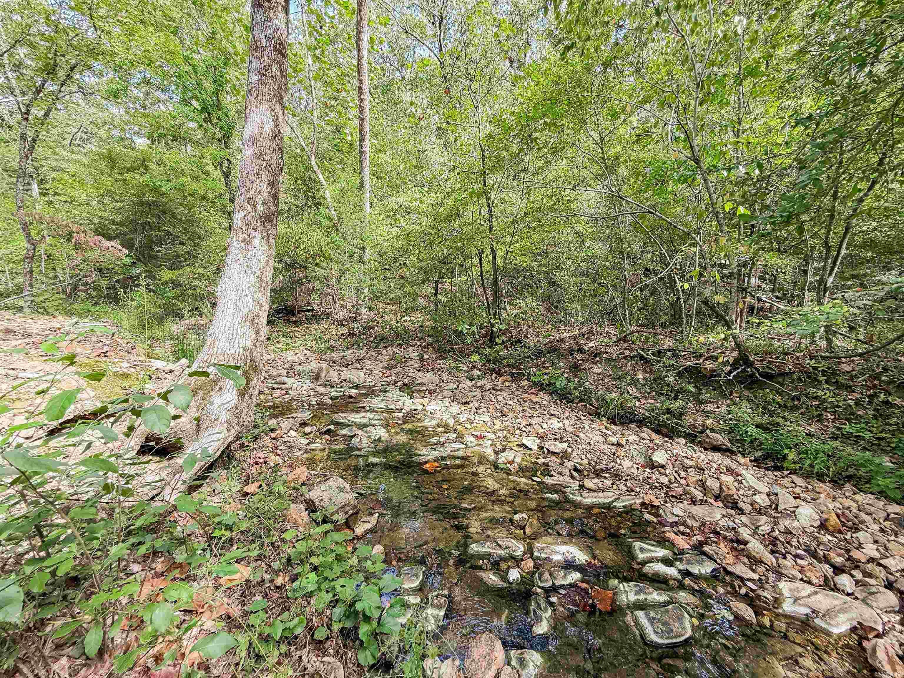 Photo 14 - Vacant Land for sale – TBD  Highway 163   Hardy, AR