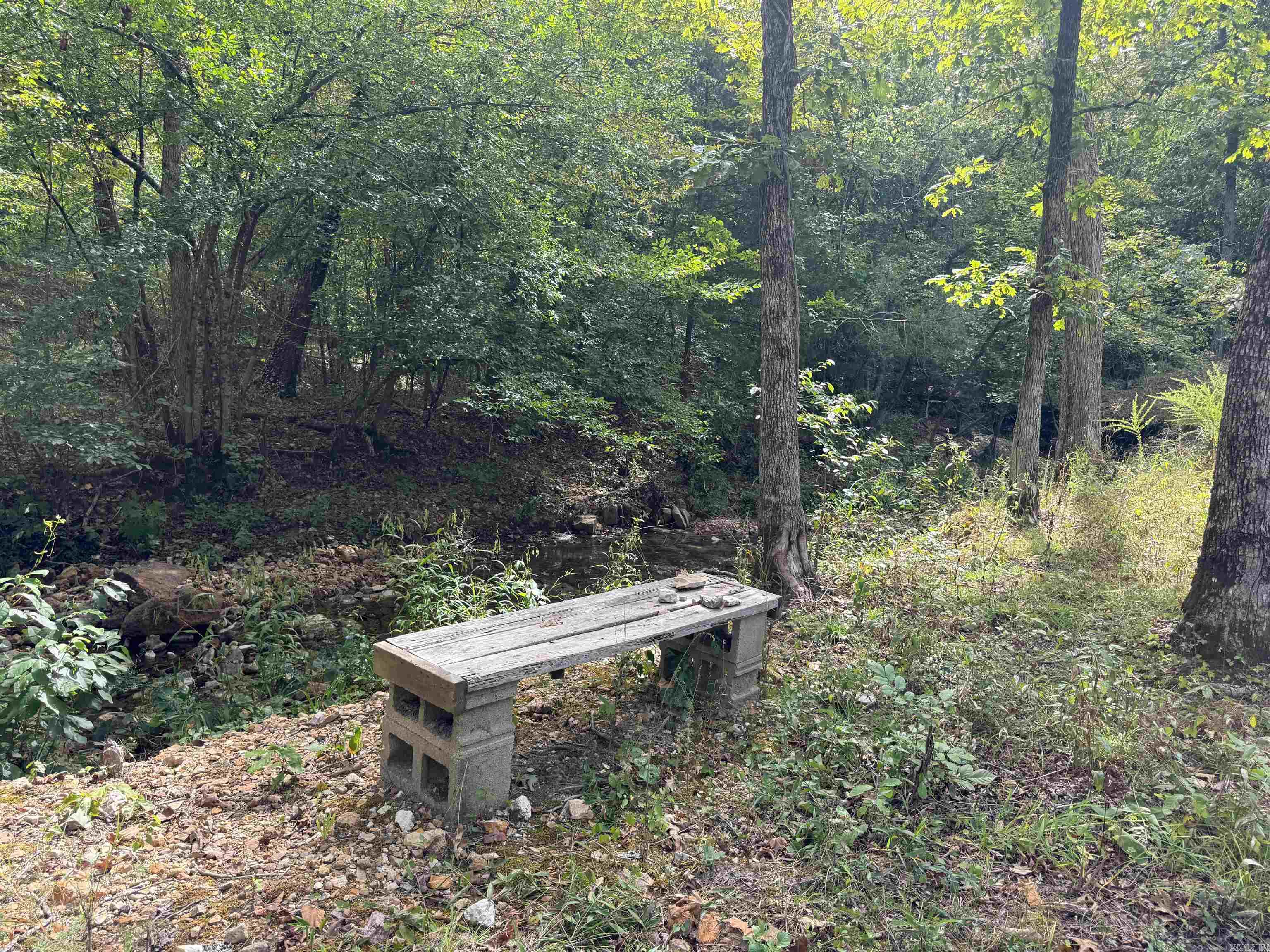 Photo 15 - Vacant Land for sale – TBD  Highway 163   Hardy, AR