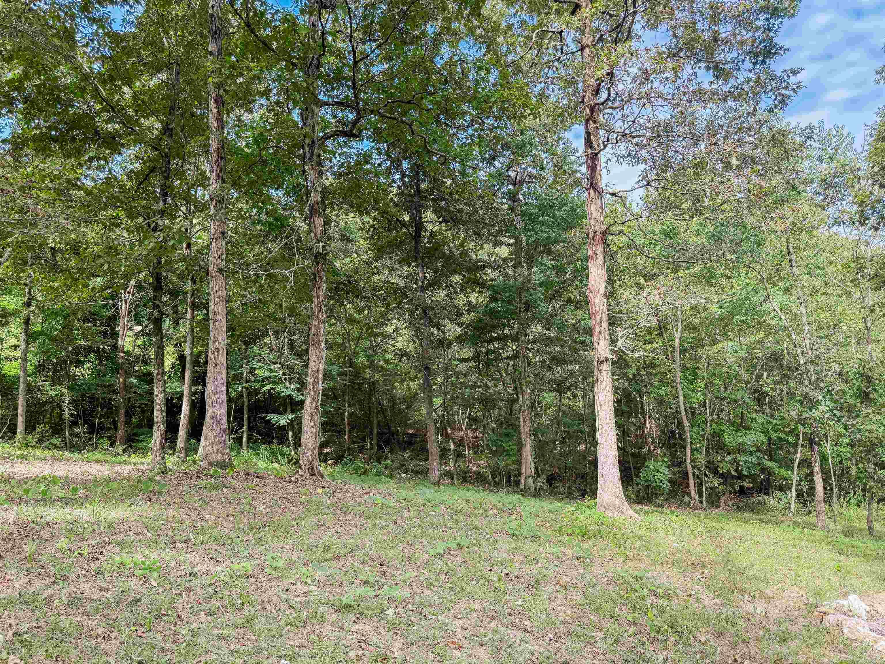 Photo 17 - Vacant Land for sale – TBD  Highway 163   Hardy, AR