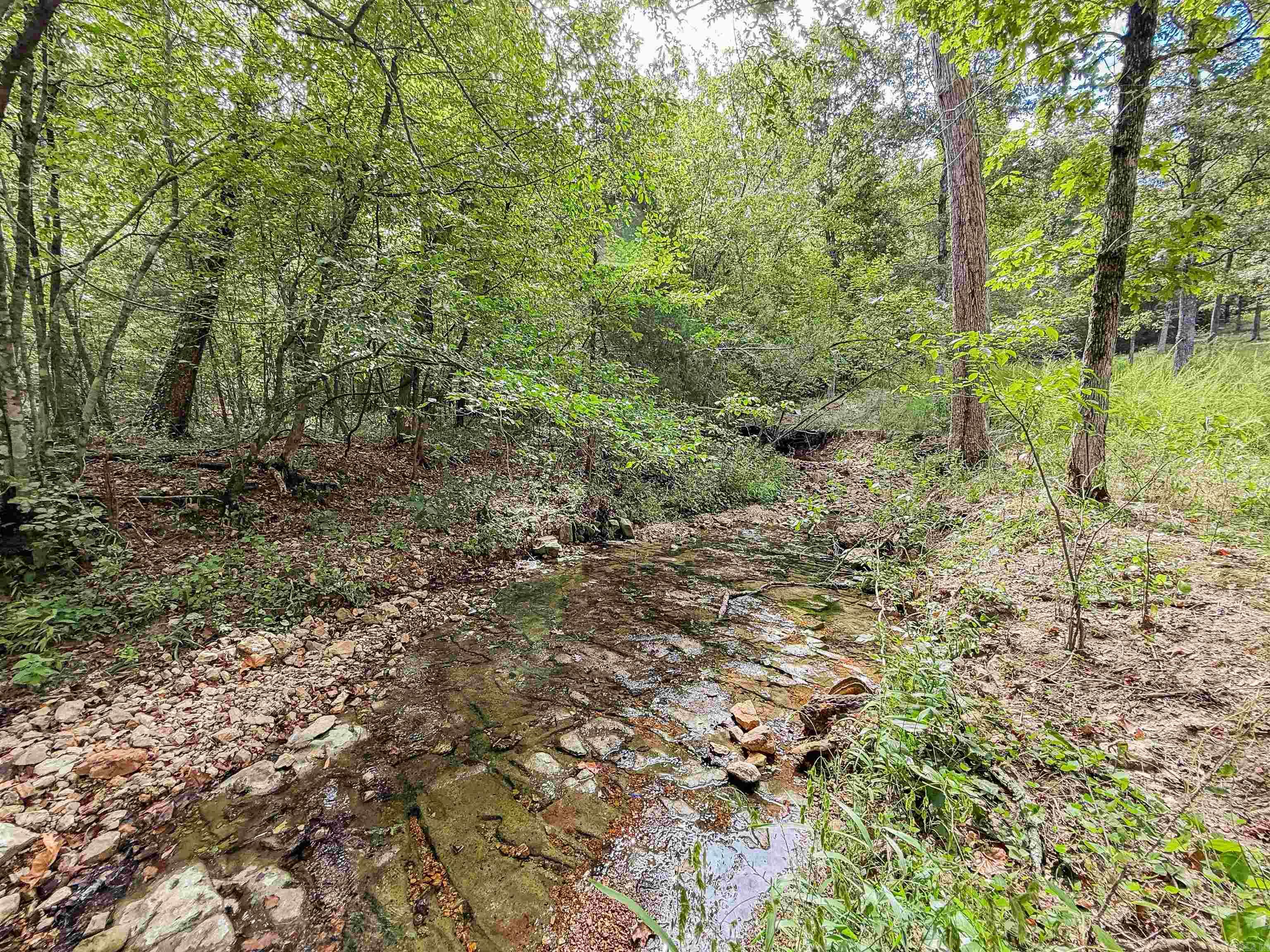 Photo 3 - Vacant Land for sale – TBD  Highway 163   Hardy, AR