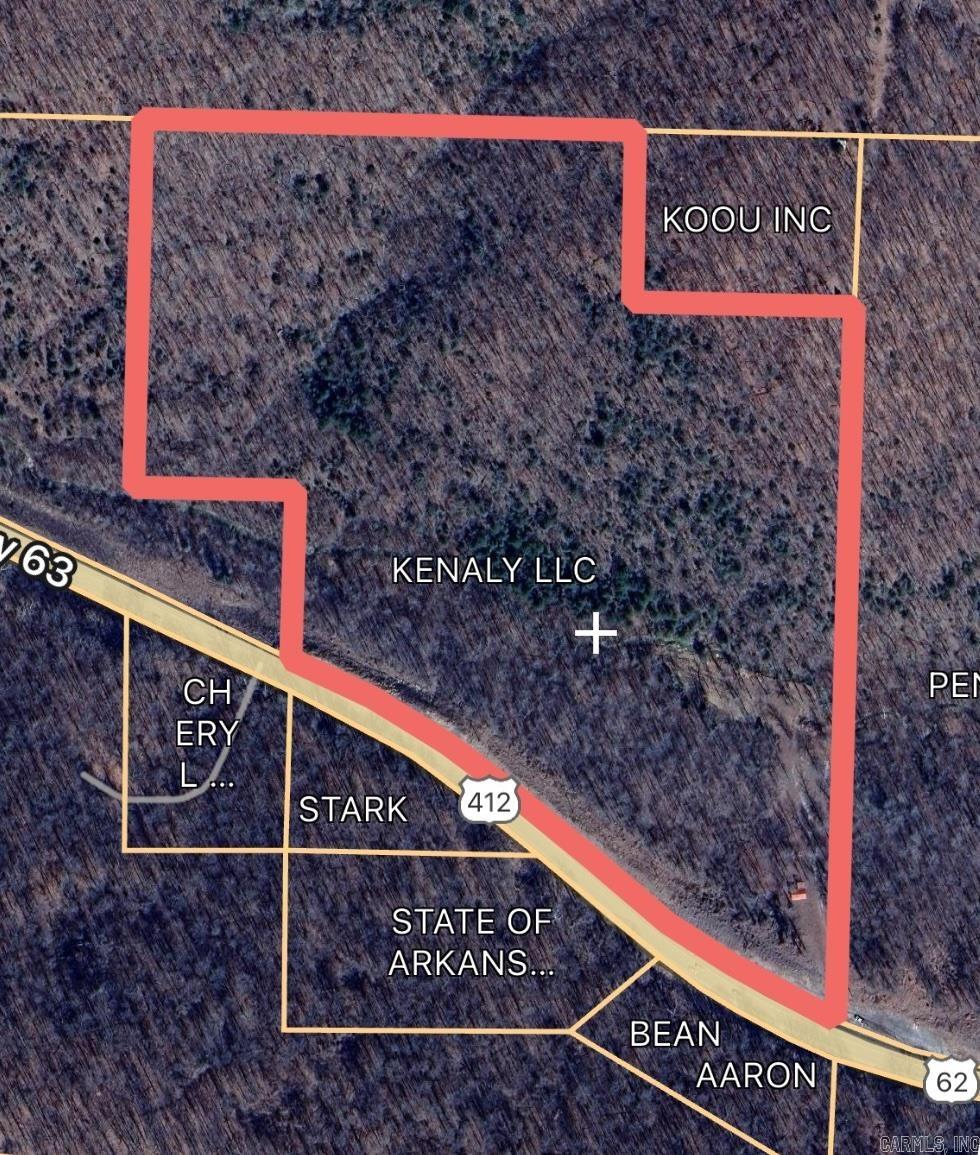 Photo 4 - Vacant Land for sale – TBD  Highway 163   Hardy, AR