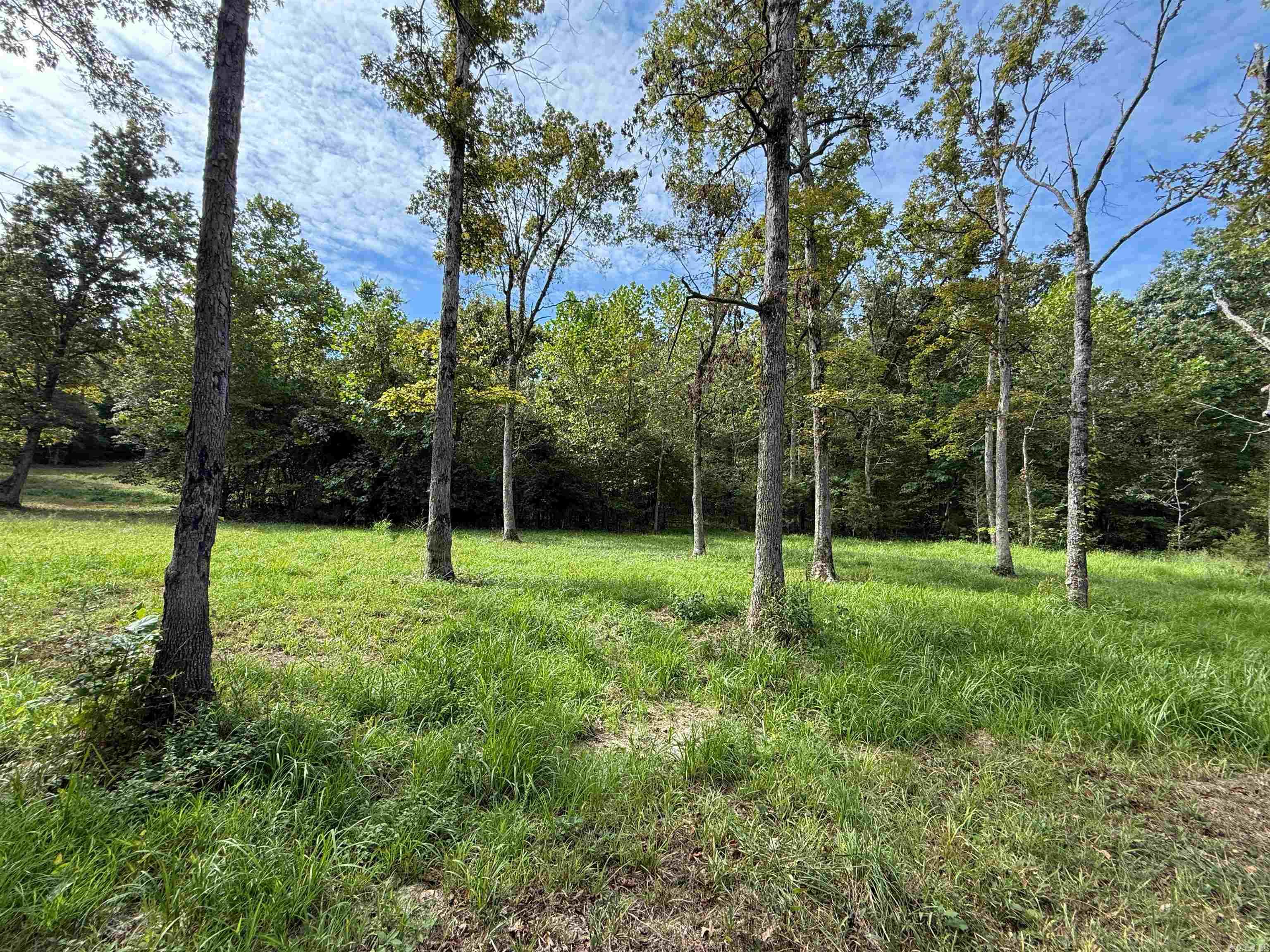 Photo 5 - Vacant Land for sale – TBD  Highway 163   Hardy, AR