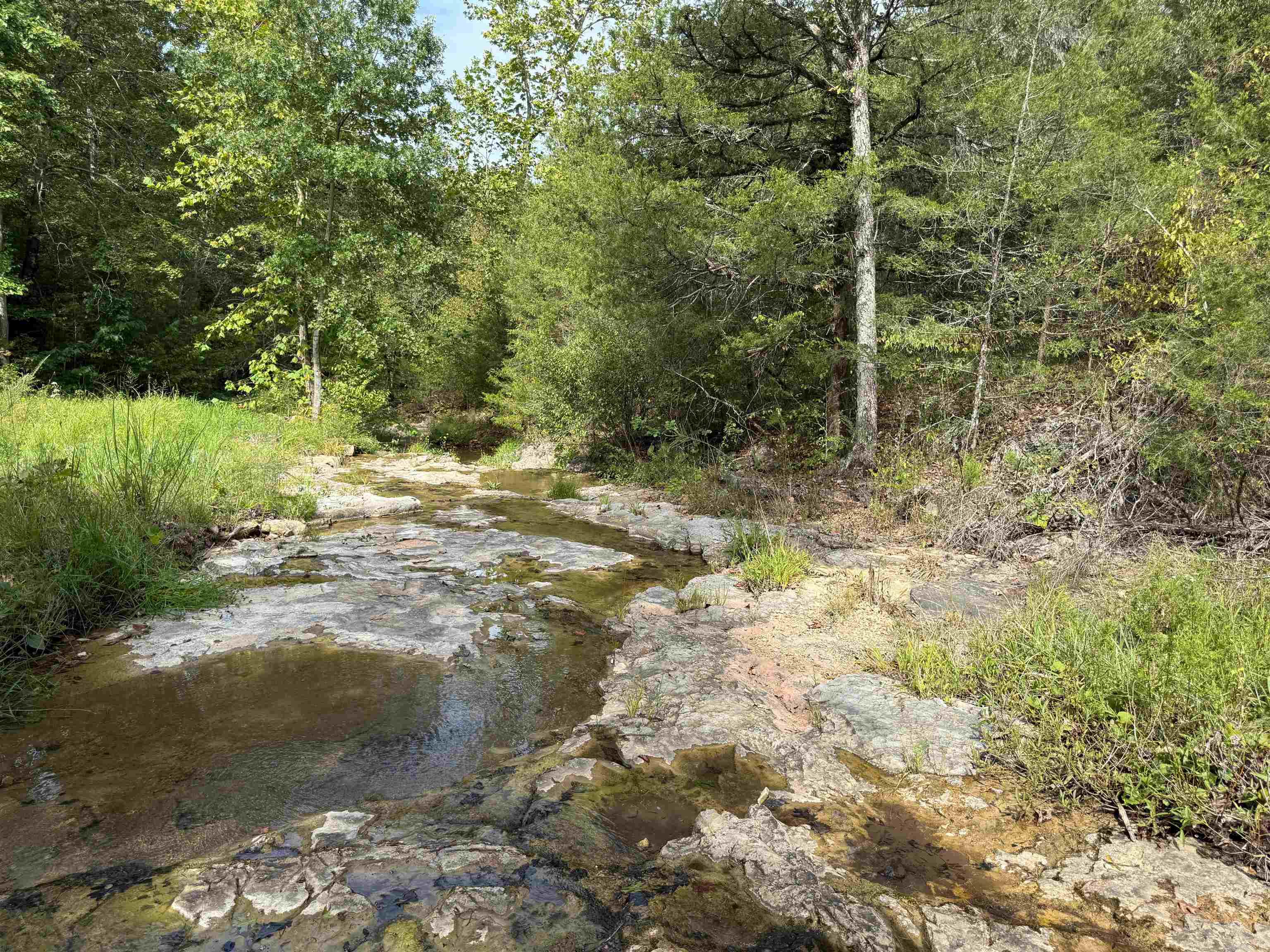 Photo 6 - Vacant Land for sale – TBD  Highway 163   Hardy, AR