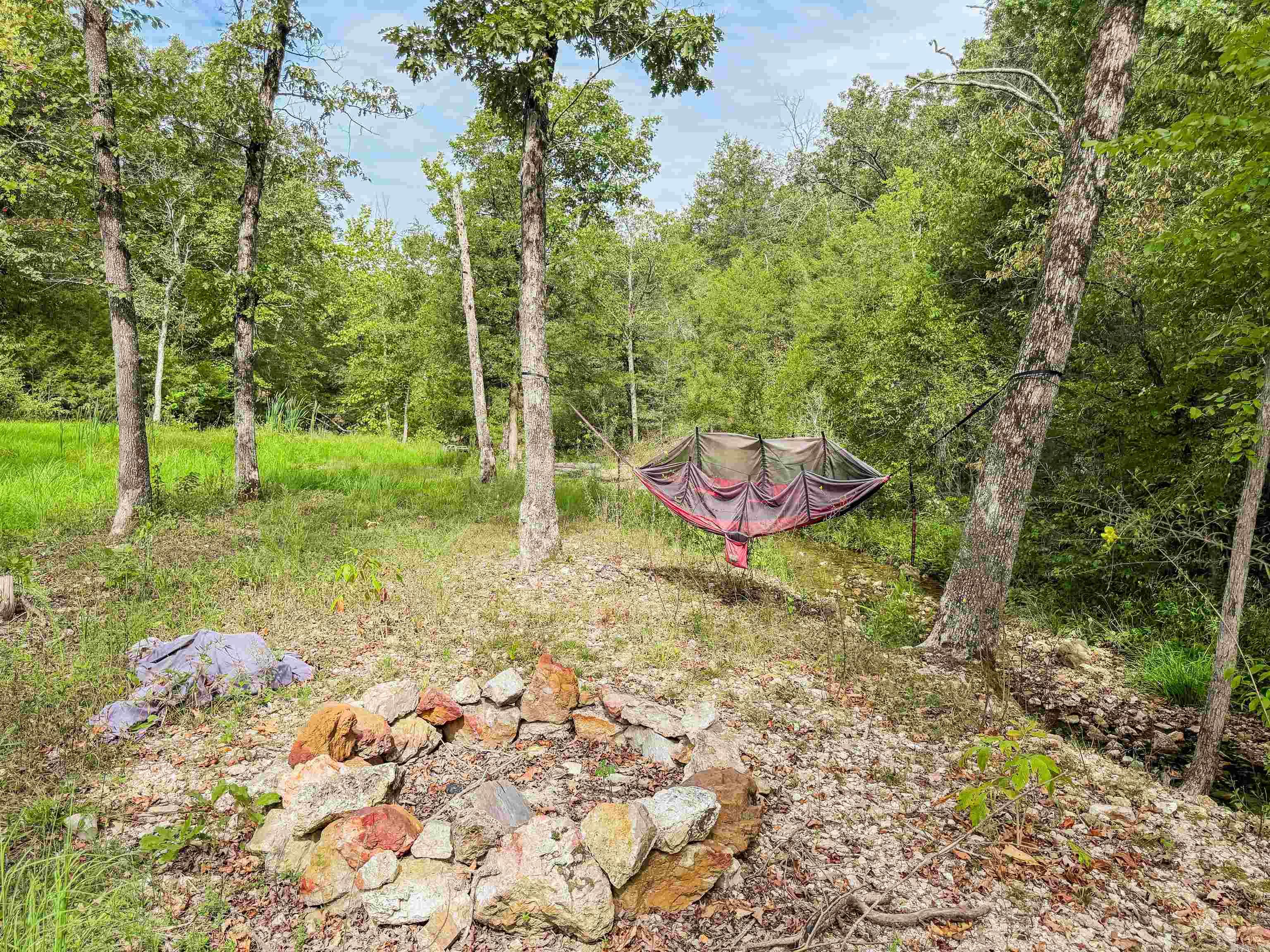 Photo 8 - Vacant Land for sale – TBD  Highway 163   Hardy, AR