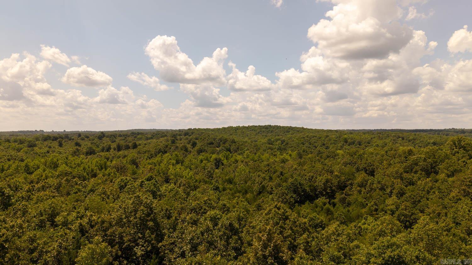 Vacant Land for sale – 000  Squirrel Hill Road   Glencoe, AR
