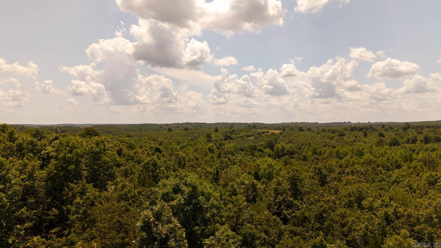 Photo 3 - Vacant Land for sale – 000  Squirrel Hill Road   Glencoe, AR
