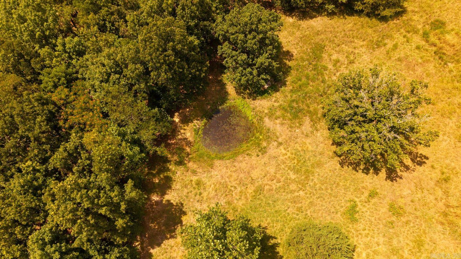 Photo 4 - Vacant Land for sale – 000  Squirrel Hill Road   Glencoe, AR