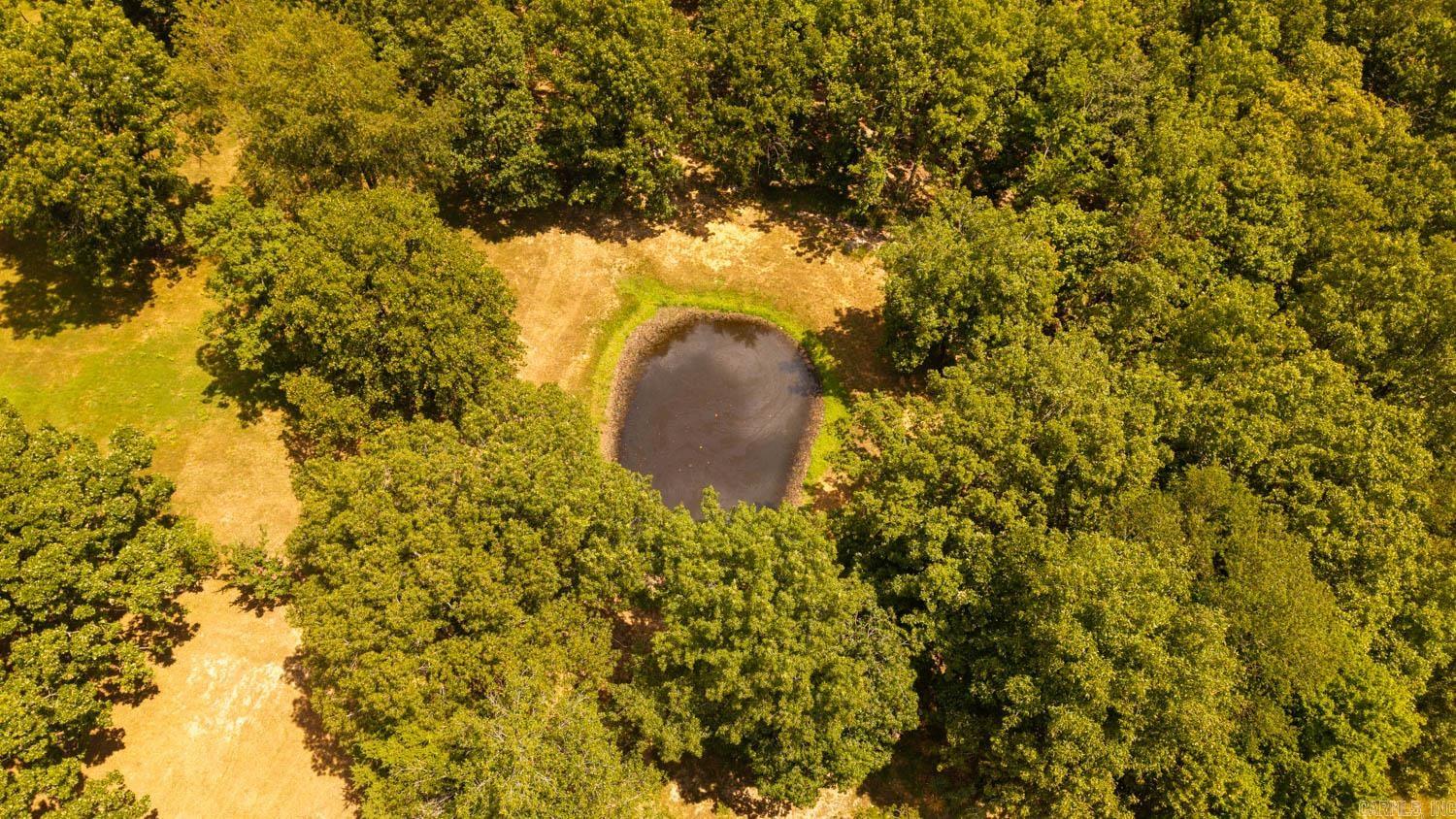 Photo 5 - Vacant Land for sale – 000  Squirrel Hill Road   Glencoe, AR