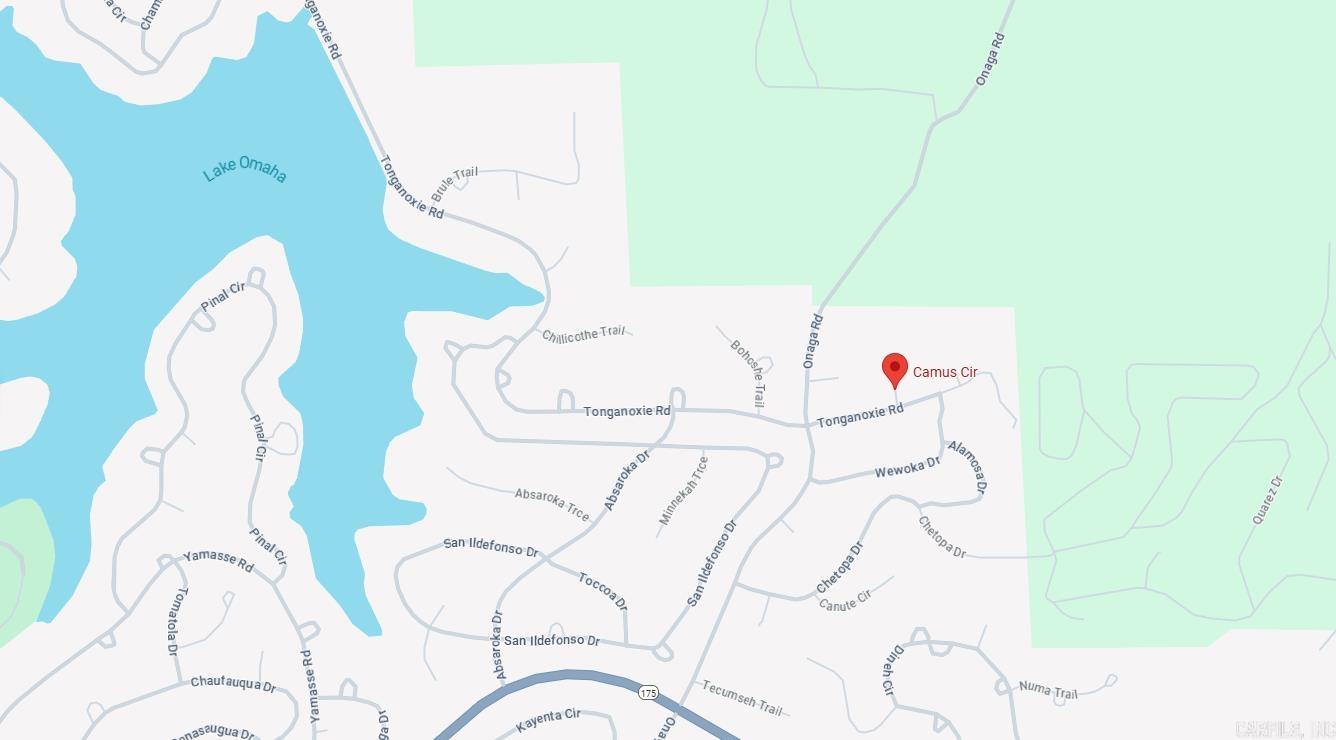 Photo 3 - Vacant Land for sale – Lot 11  Camus   Cherokee Village, AR