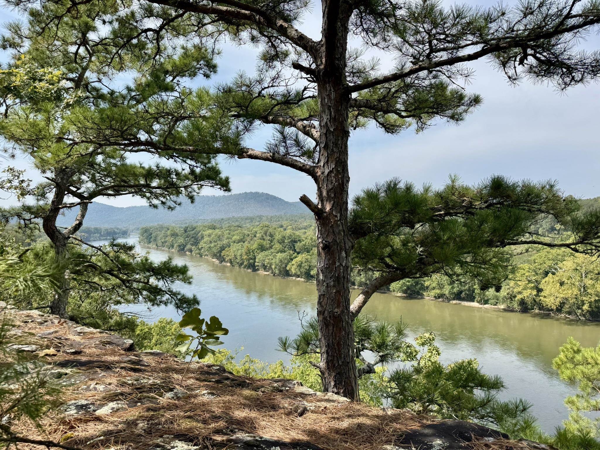 Vacant Land for sale – 110  Mount Olive Road   Melbourne, AR