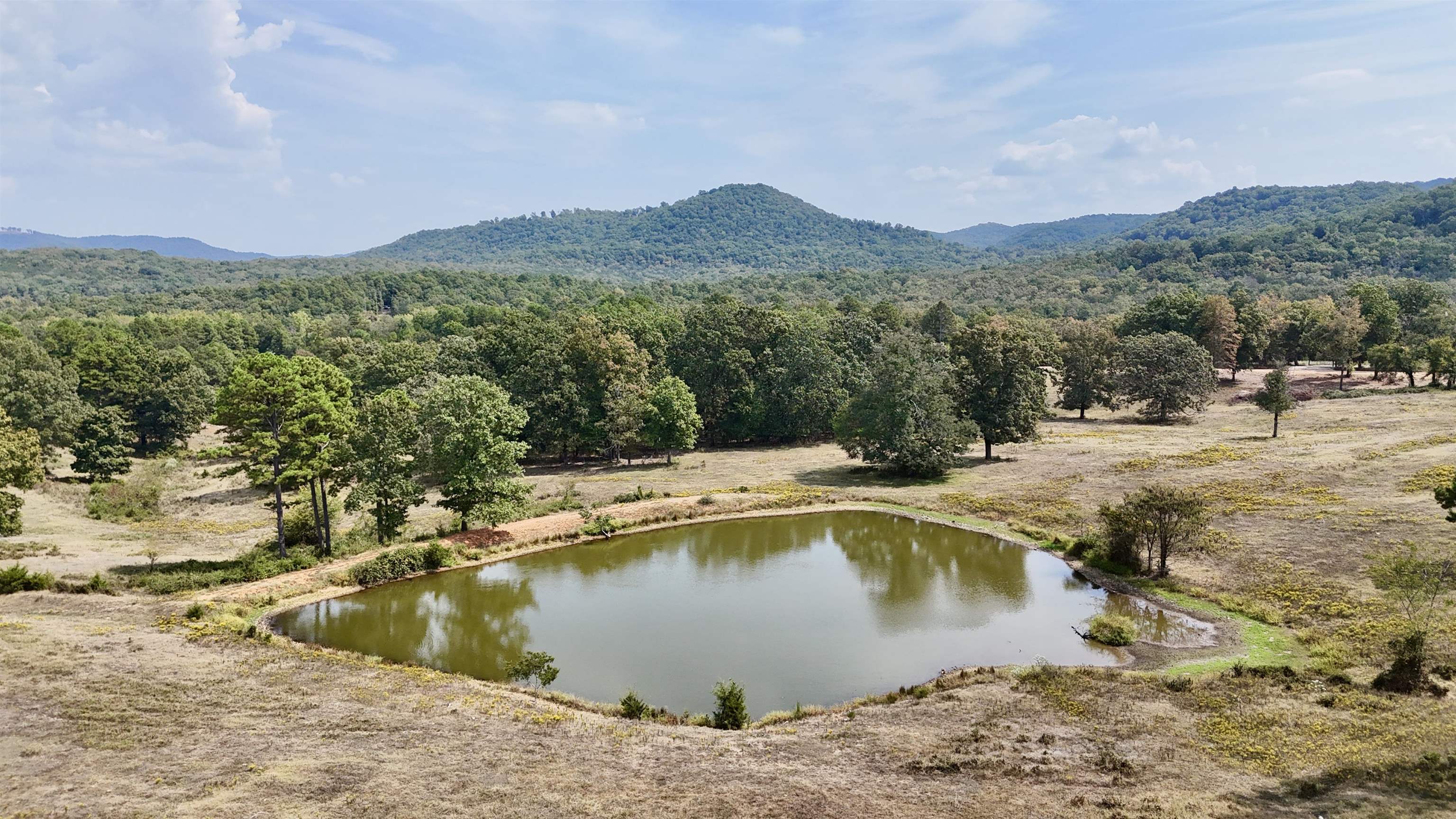 Photo 11 - Vacant Land for sale – 110  Mount Olive Road   Melbourne, AR