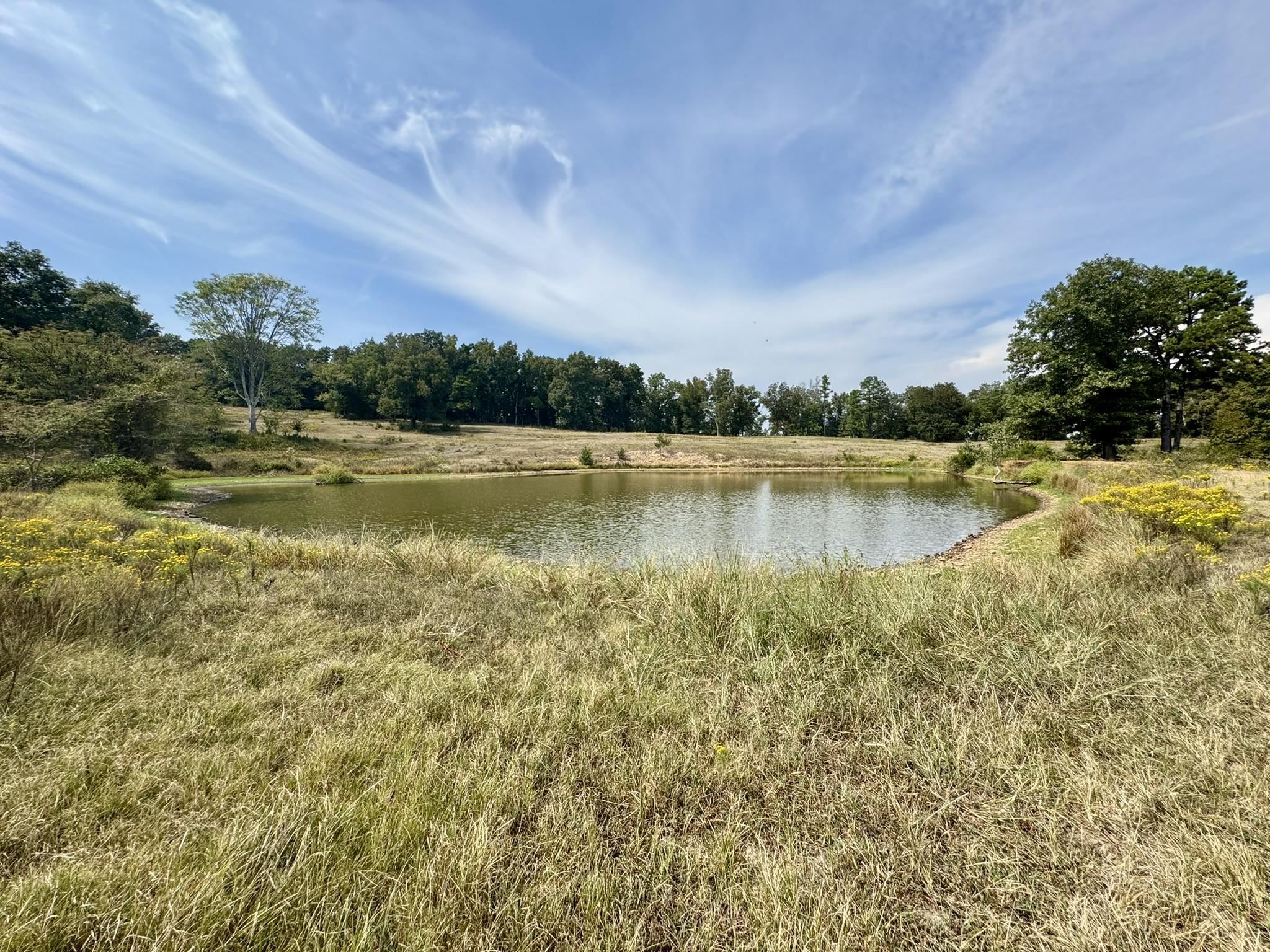 Photo 14 - Vacant Land for sale – 110  Mount Olive Road   Melbourne, AR