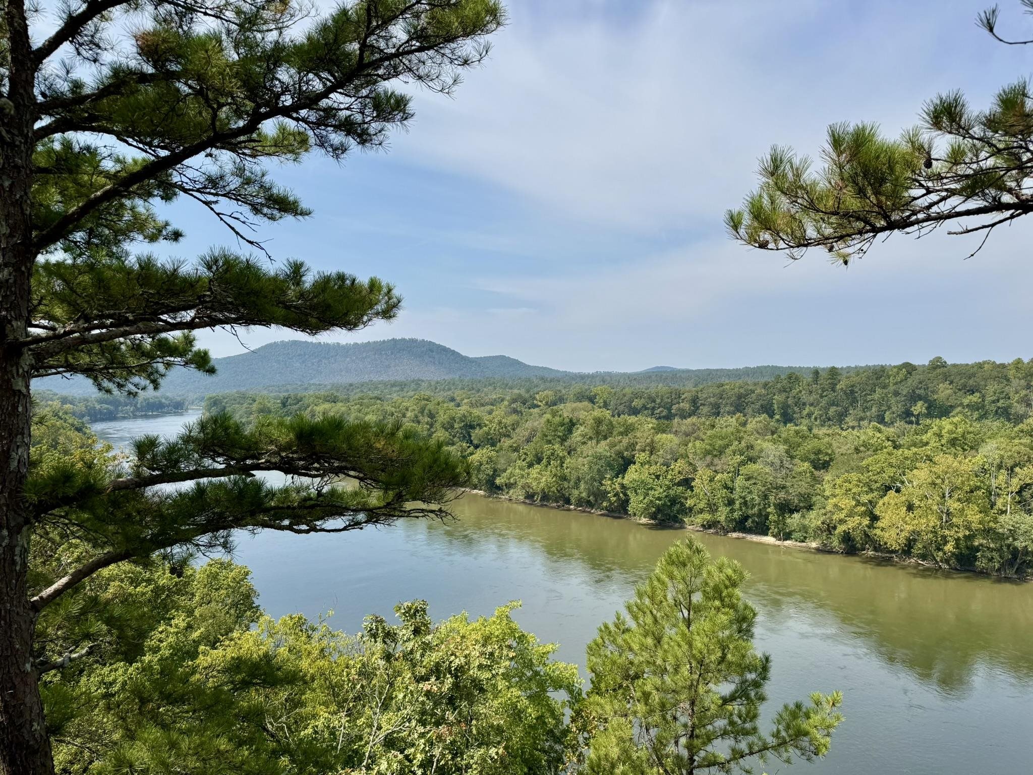 Photo 16 - Vacant Land for sale – 110  Mount Olive Road   Melbourne, AR