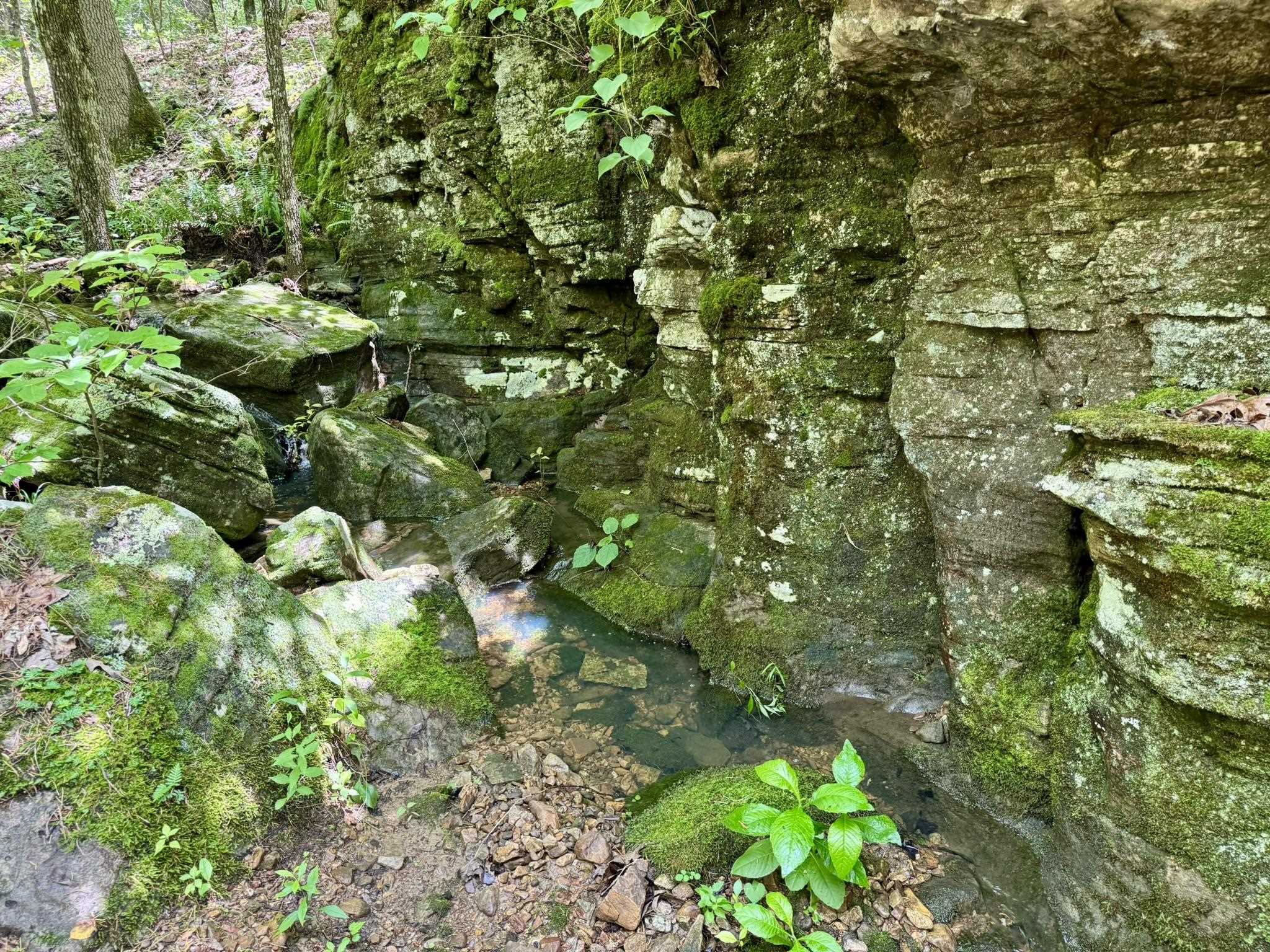 Photo 26 - Vacant Land for sale – 110  Mount Olive Road   Melbourne, AR