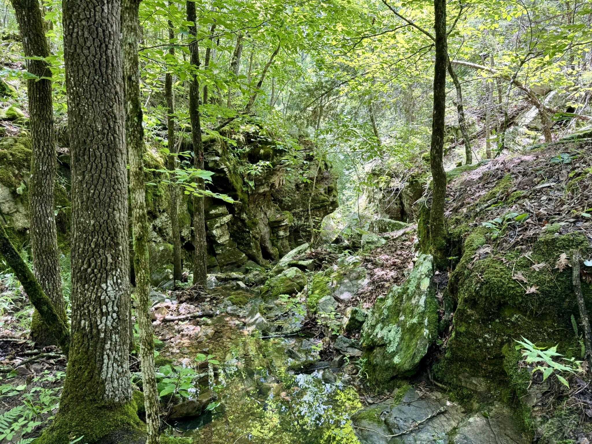 Photo 27 - Vacant Land for sale – 110  Mount Olive Road   Melbourne, AR