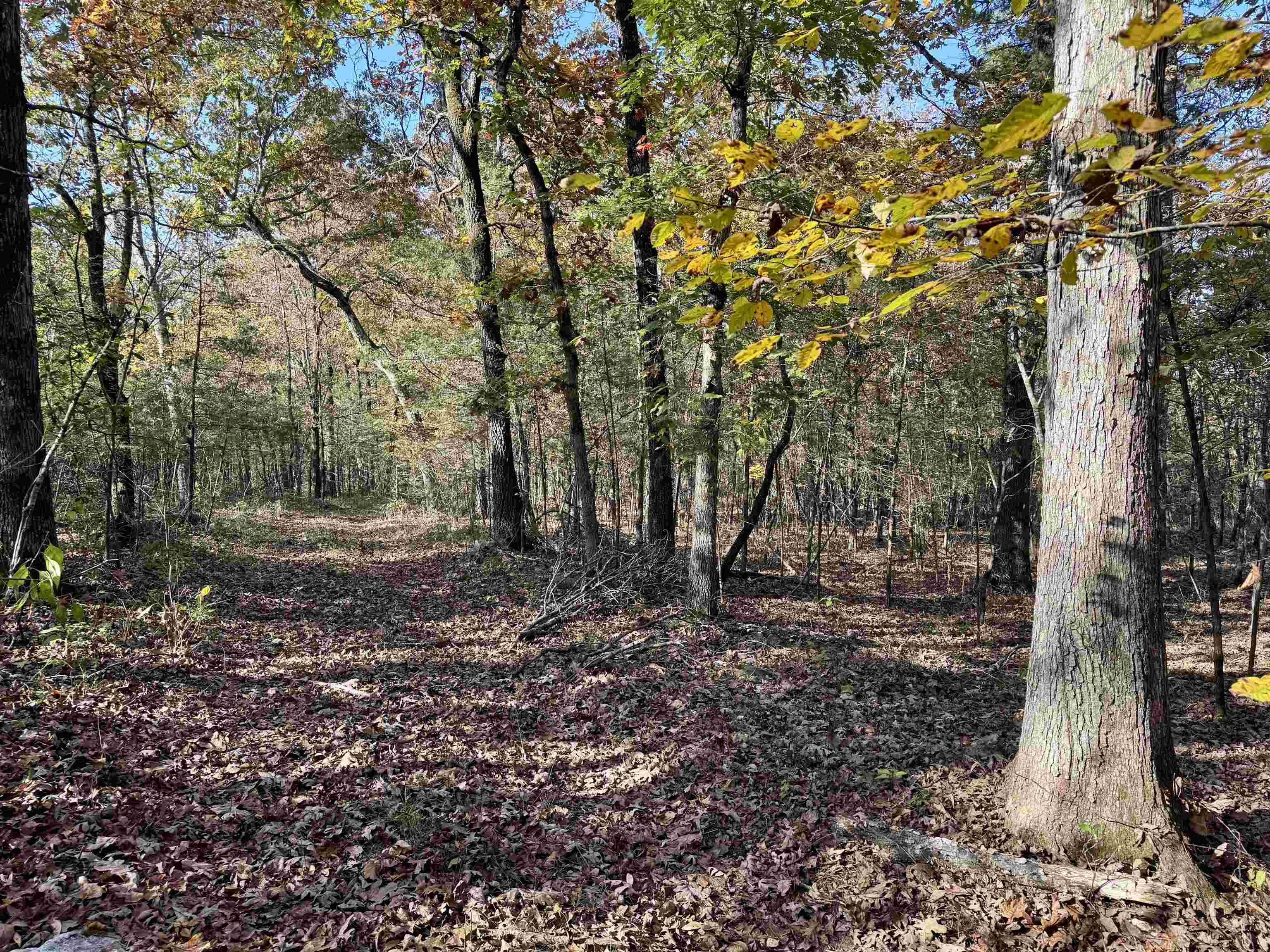 Photo 31 - Vacant Land for sale – 110  Mount Olive Road   Melbourne, AR