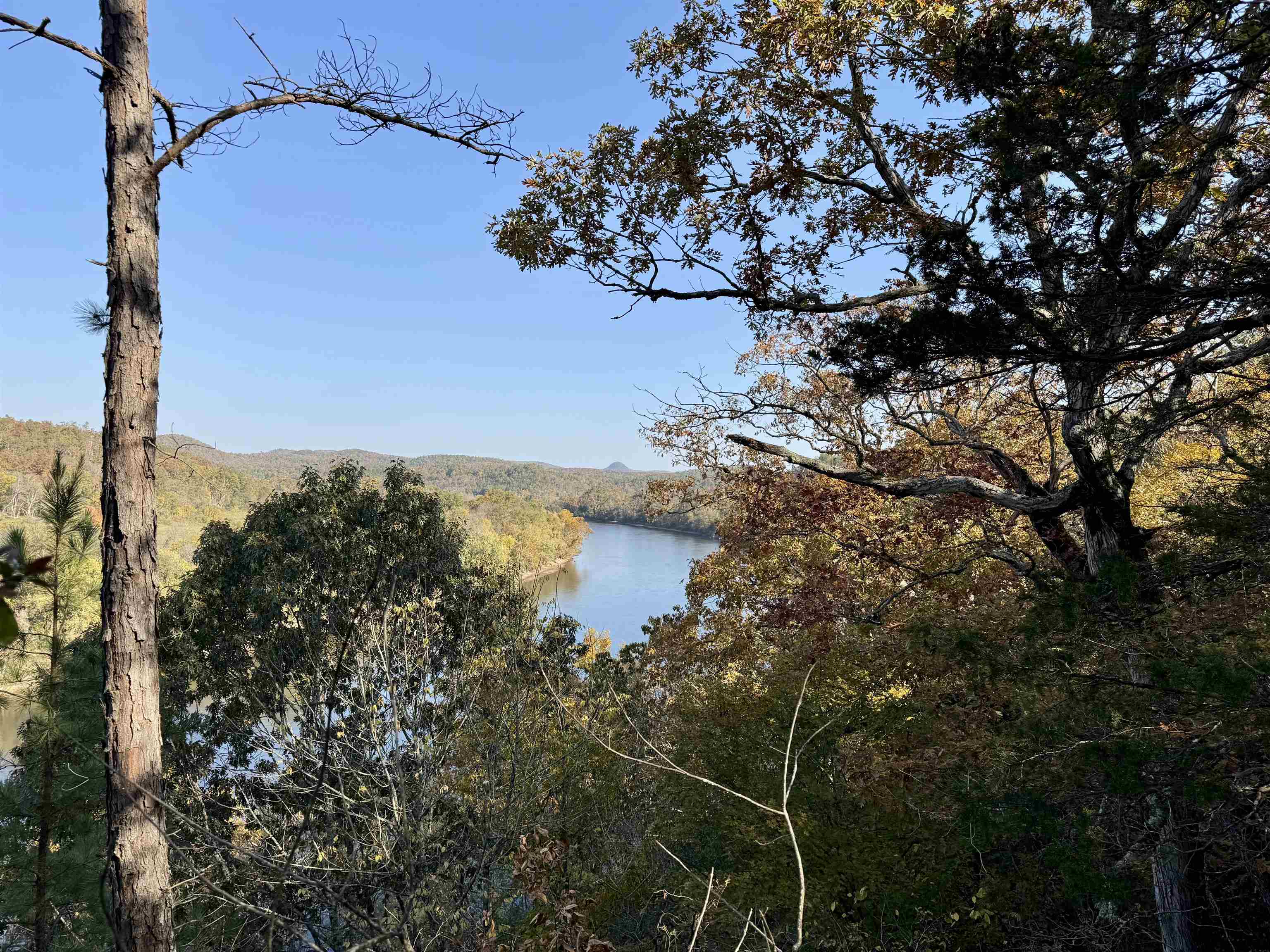 Photo 32 - Vacant Land for sale – 110  Mount Olive Road   Melbourne, AR