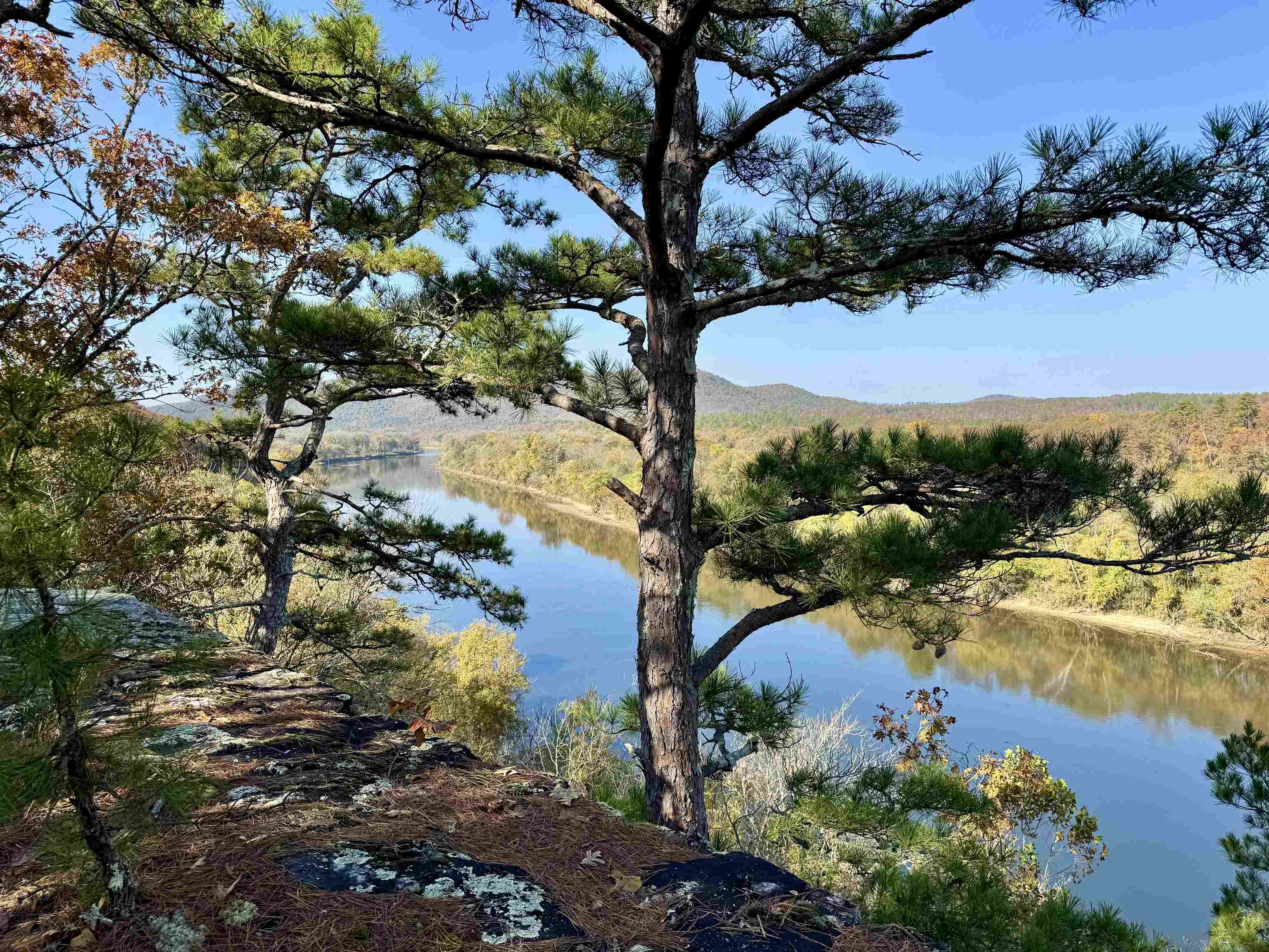 Photo 36 - Vacant Land for sale – 110  Mount Olive Road   Melbourne, AR