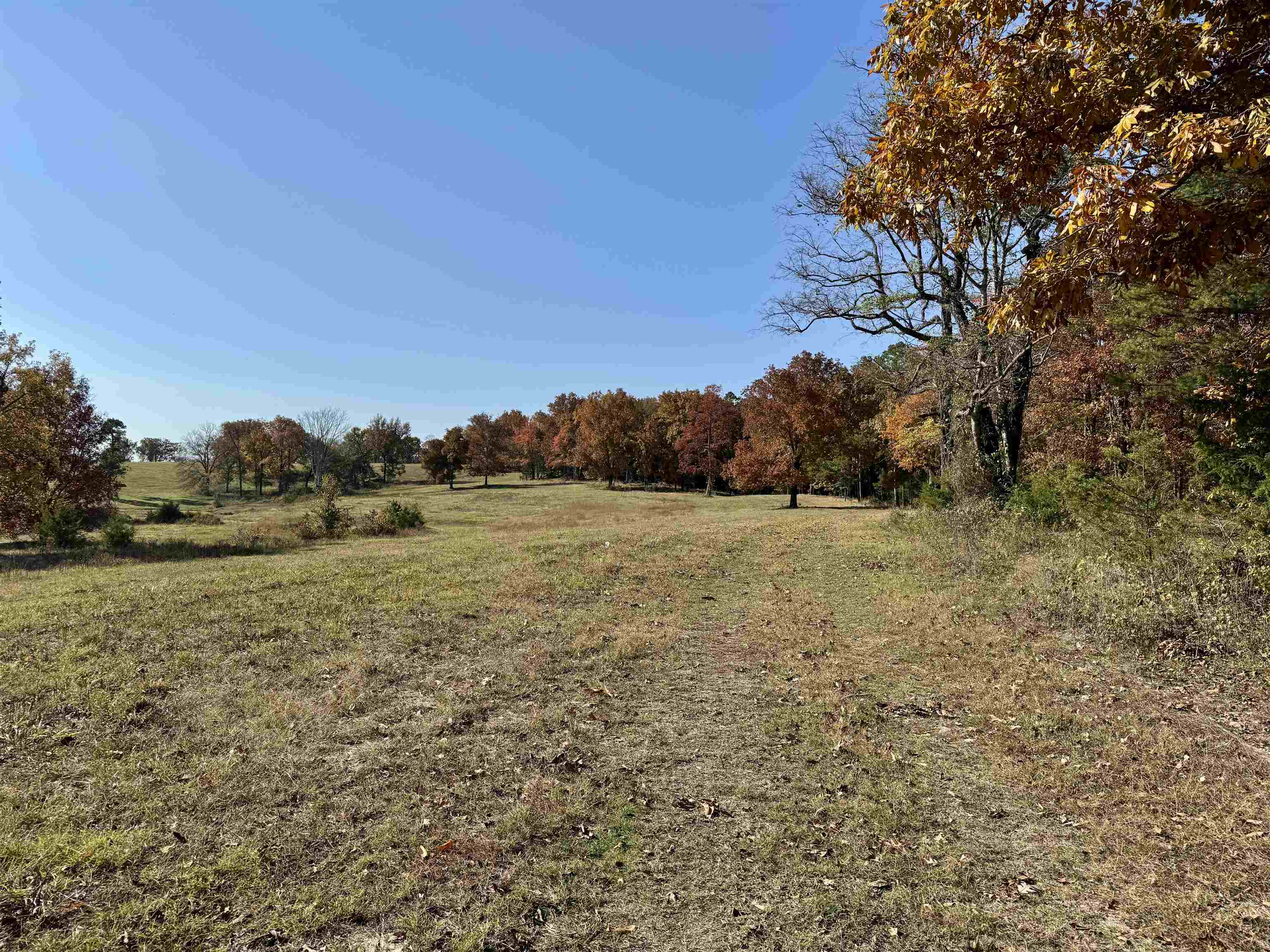 Photo 37 - Vacant Land for sale – 110  Mount Olive Road   Melbourne, AR