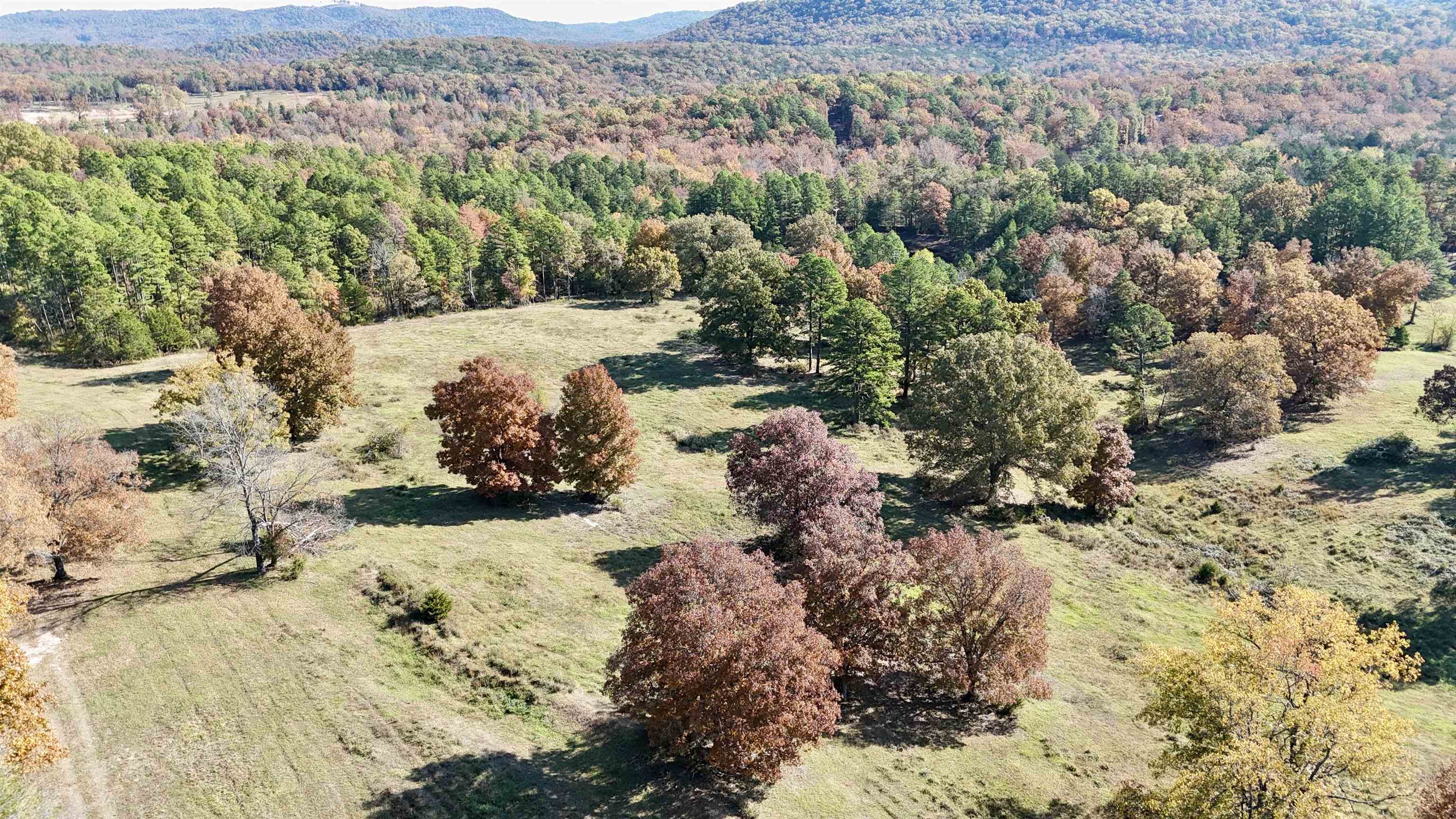 Photo 42 - Vacant Land for sale – 110  Mount Olive Road   Melbourne, AR