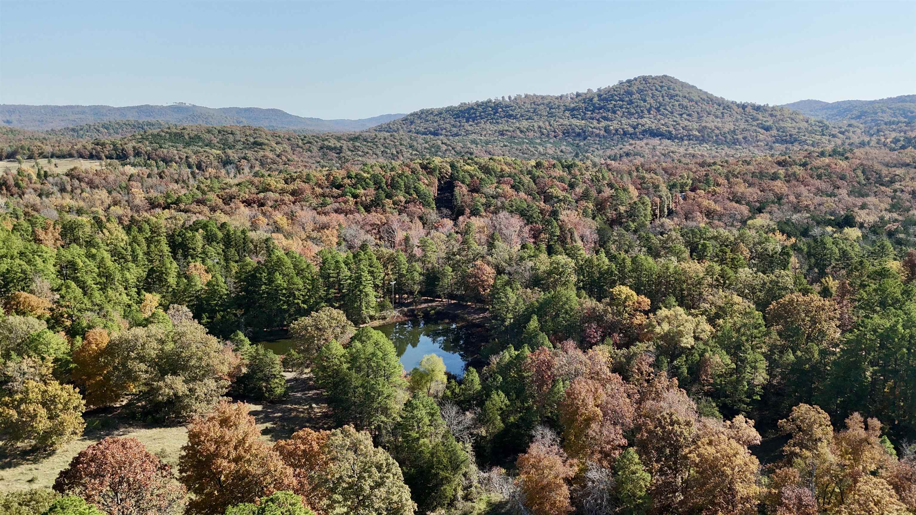 Photo 43 - Vacant Land for sale – 110  Mount Olive Road   Melbourne, AR