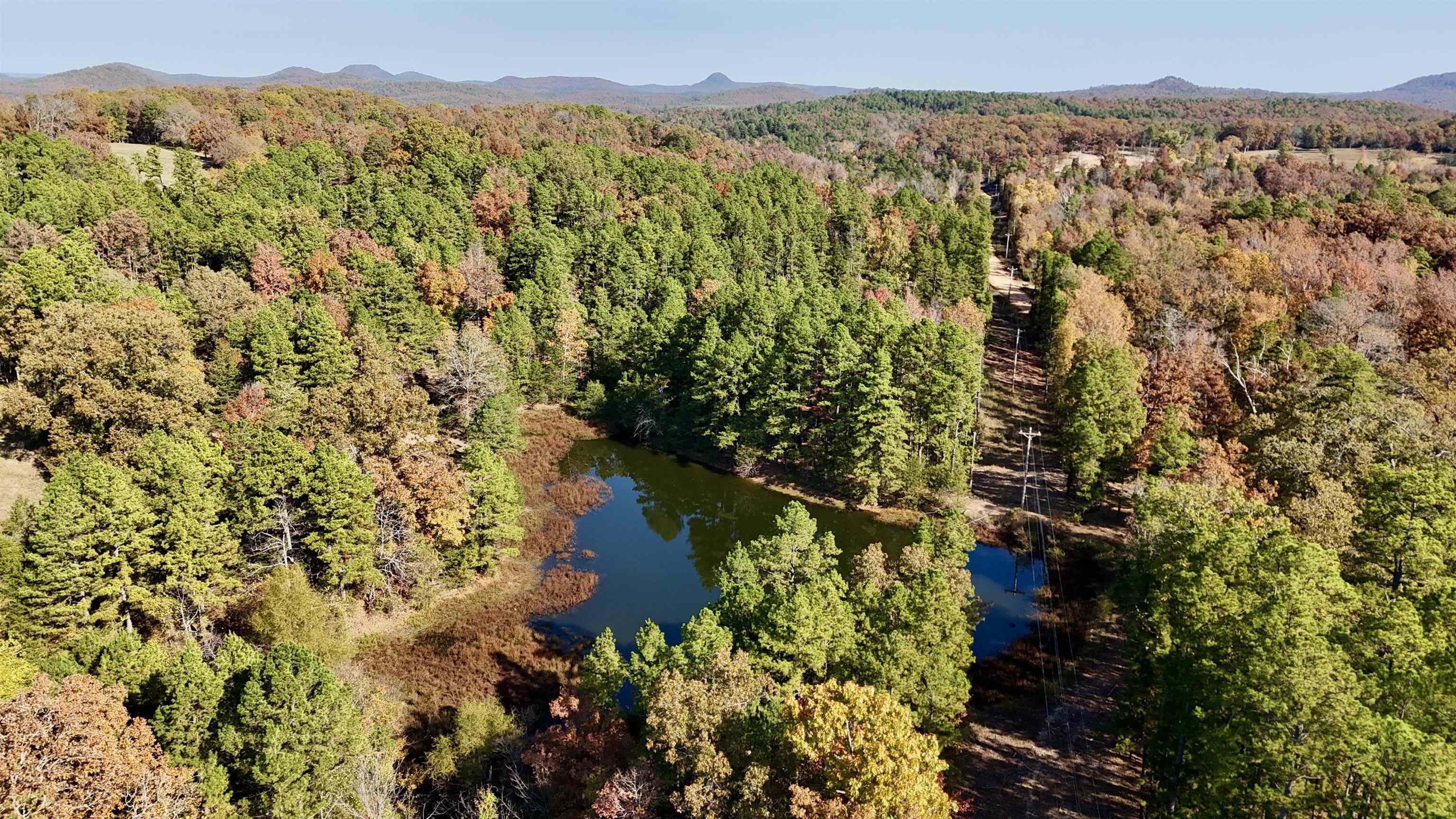 Photo 45 - Vacant Land for sale – 110  Mount Olive Road   Melbourne, AR