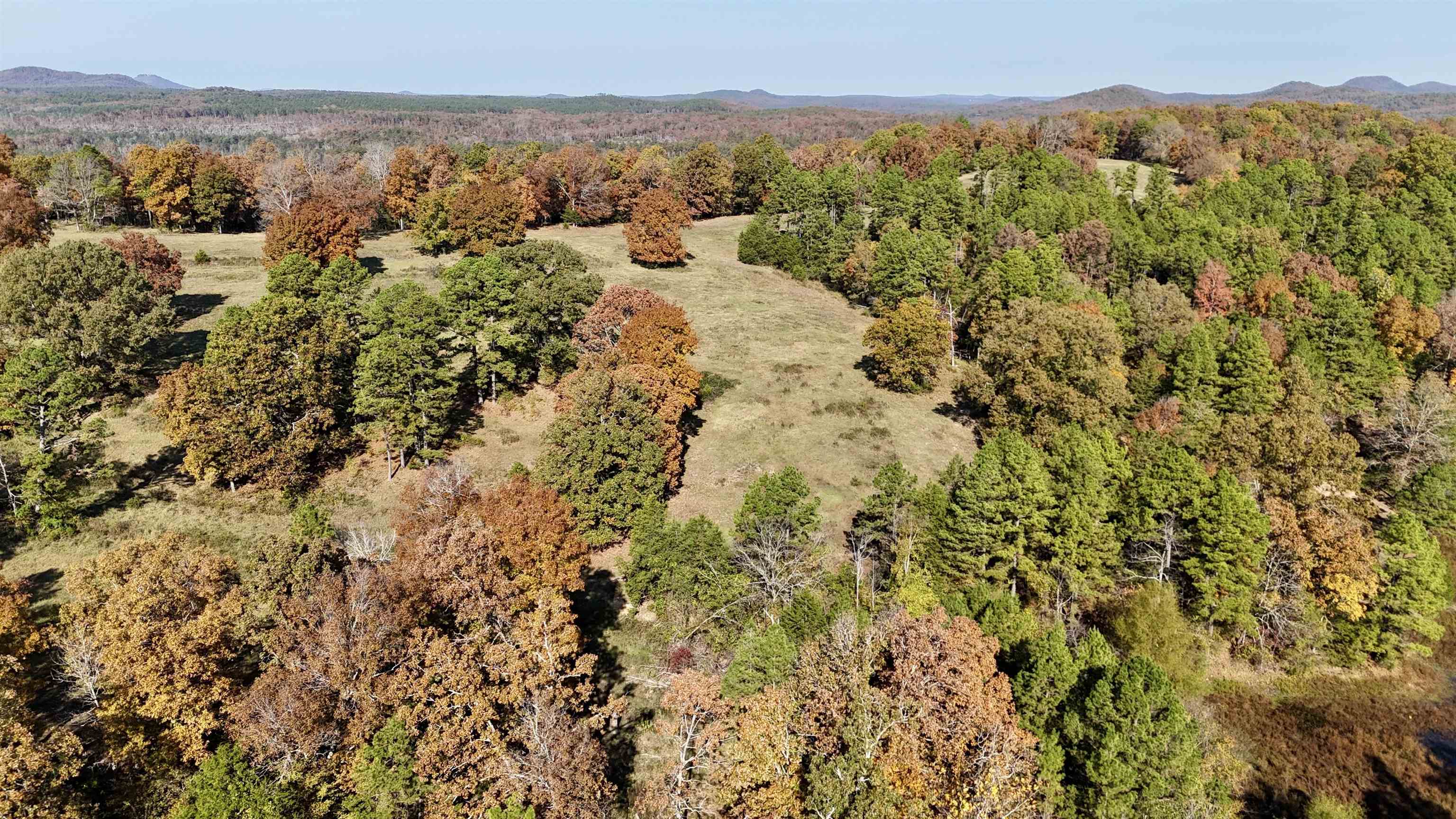 Photo 46 - Vacant Land for sale – 110  Mount Olive Road   Melbourne, AR