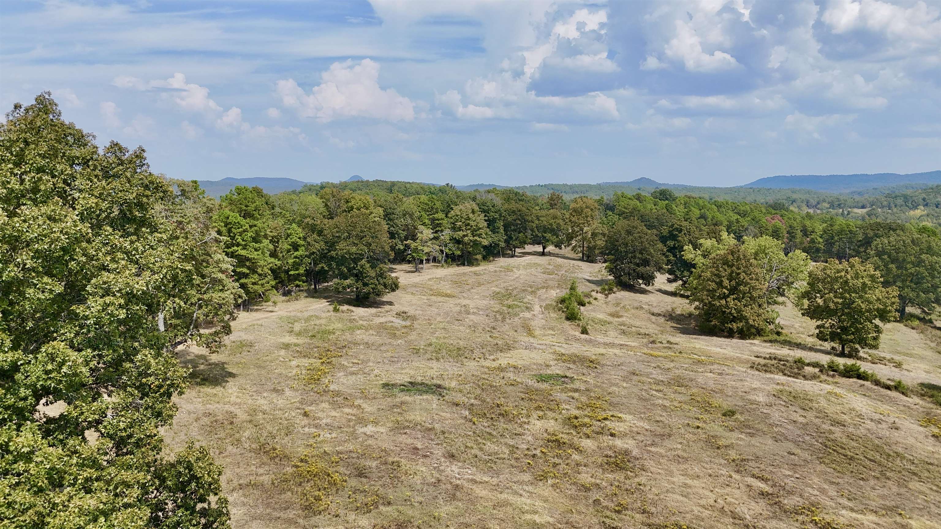 Photo 6 - Vacant Land for sale – 110  Mount Olive Road   Melbourne, AR