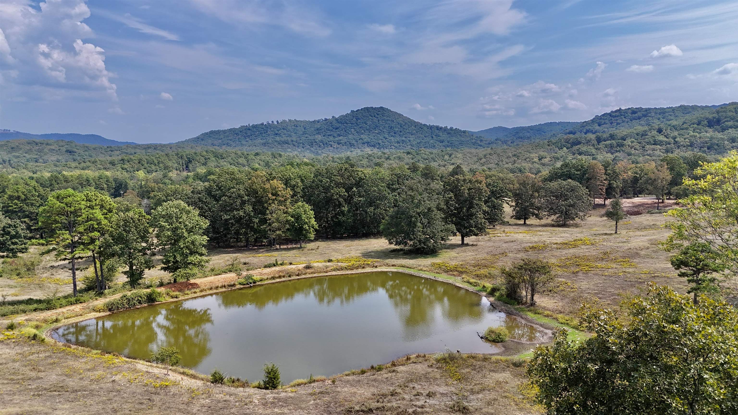 Photo 7 - Vacant Land for sale – 110  Mount Olive Road   Melbourne, AR