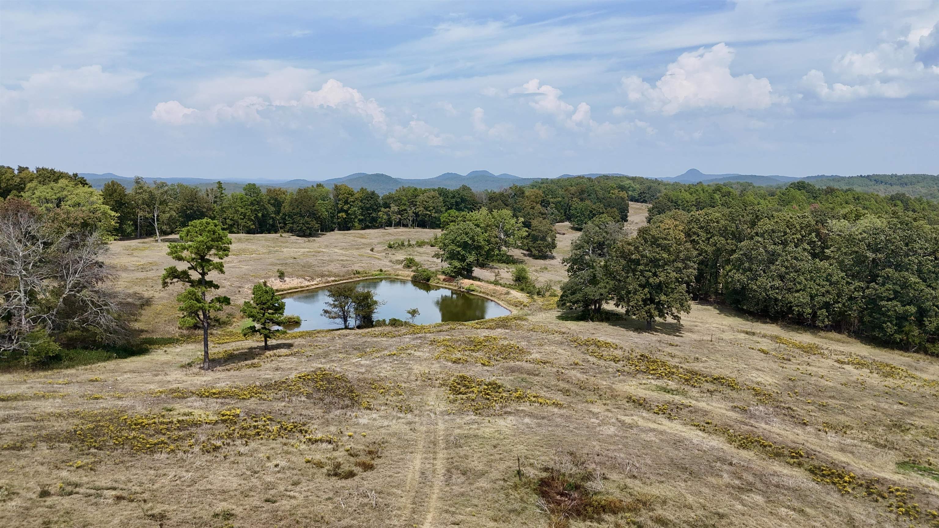 Photo 9 - Vacant Land for sale – 110  Mount Olive Road   Melbourne, AR