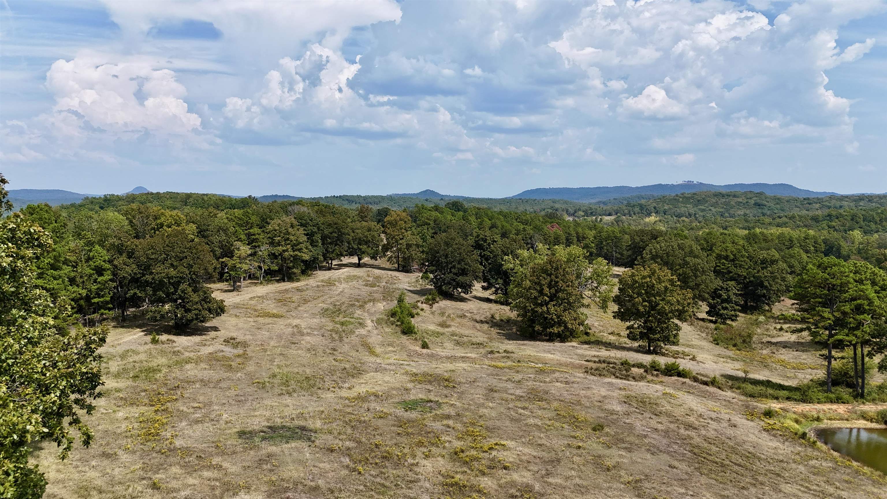 Photo 10 - Vacant Land for sale – 110  Mount Olive Road   Melbourne, AR