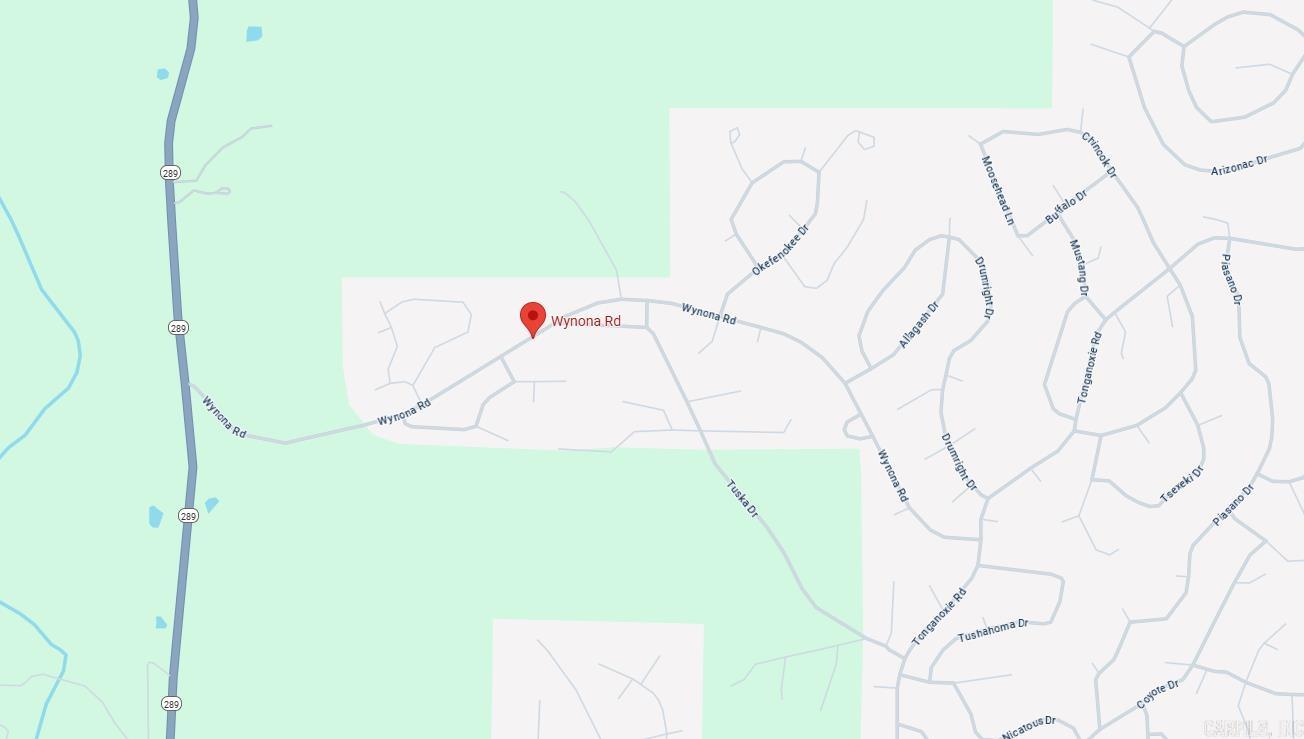 Photo 3 - Vacant Land for sale – Lot 8  Wynona   Cherokee Village, AR