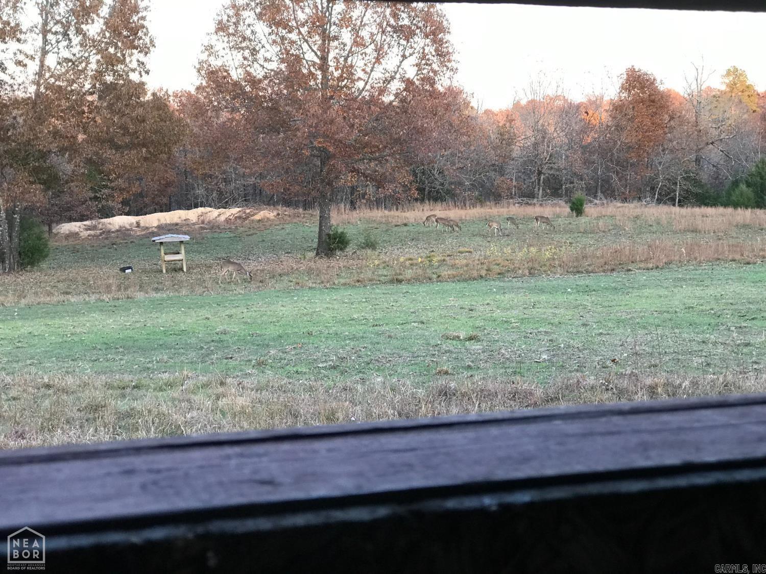 Vacant Land for sale – 47  Sturkie   Salem, AR