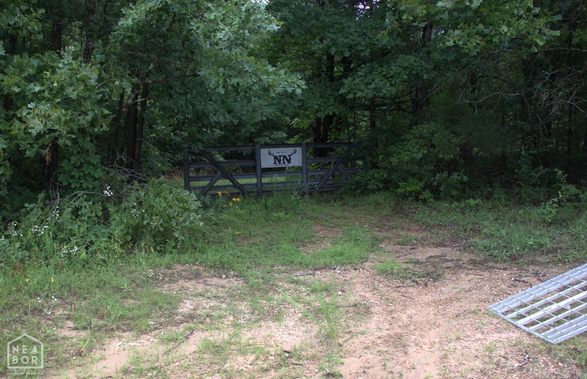 Photo 2 - Vacant Land for sale – 47  Sturkie   Salem, AR