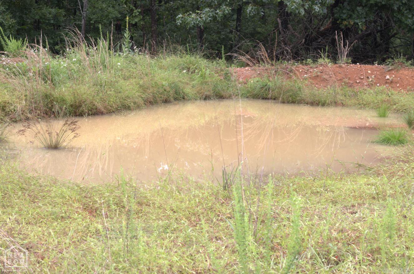 Photo 11 - Vacant Land for sale – 47  Sturkie   Salem, AR